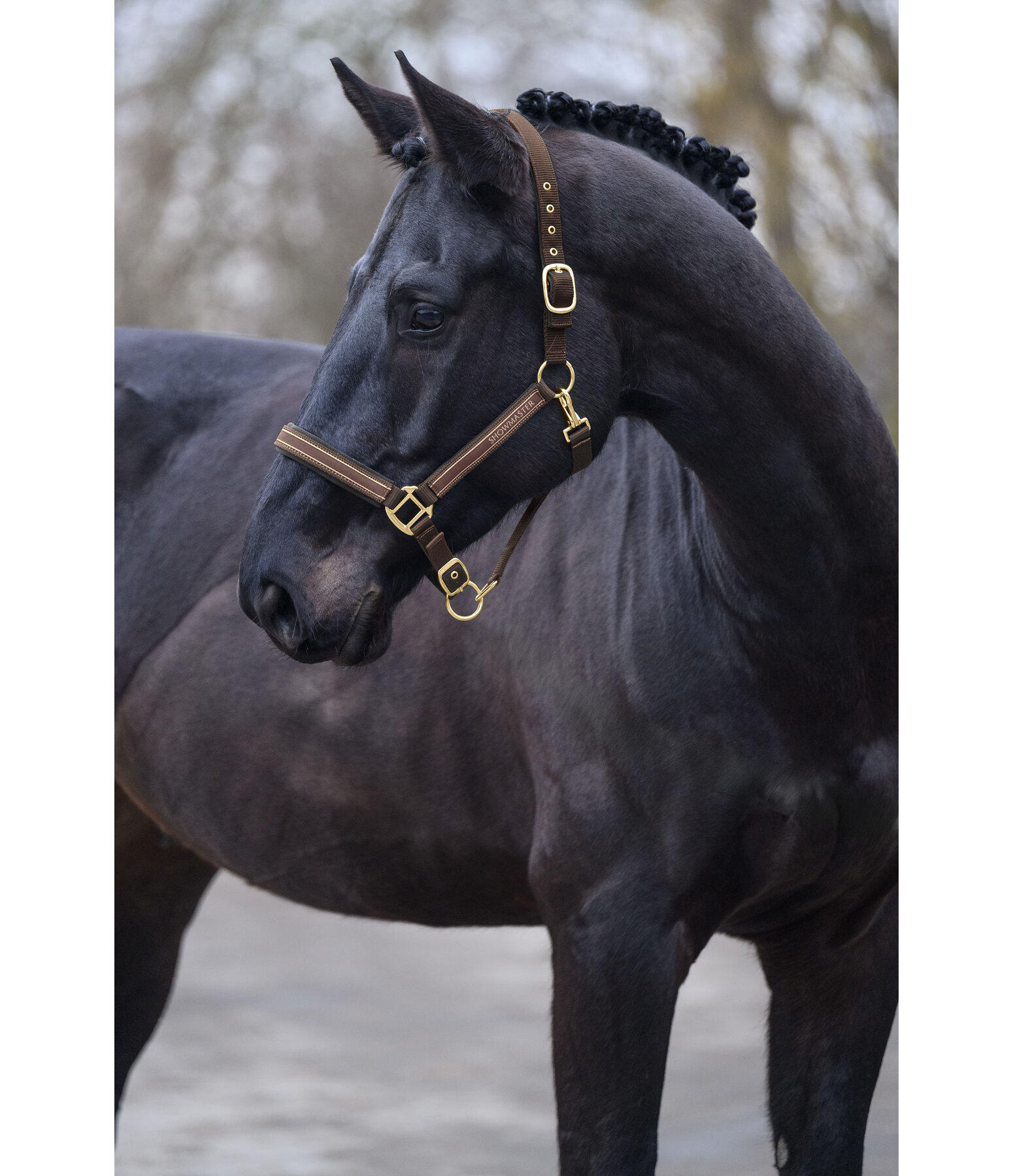 Headcollar Glimmering