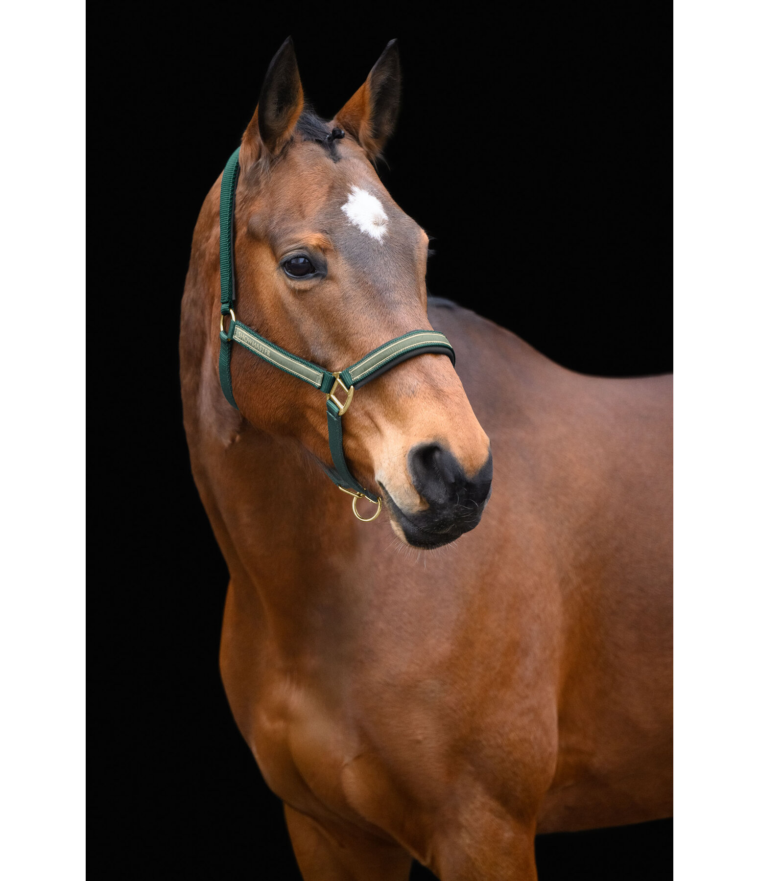 Headcollar Glimmering