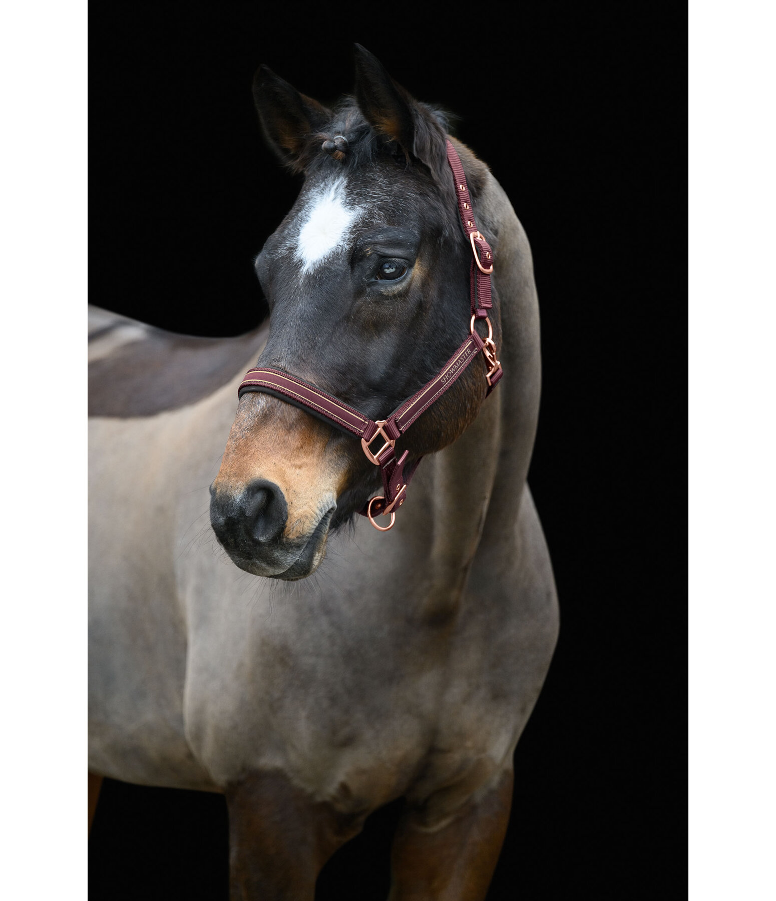 Headcollar Glimmering