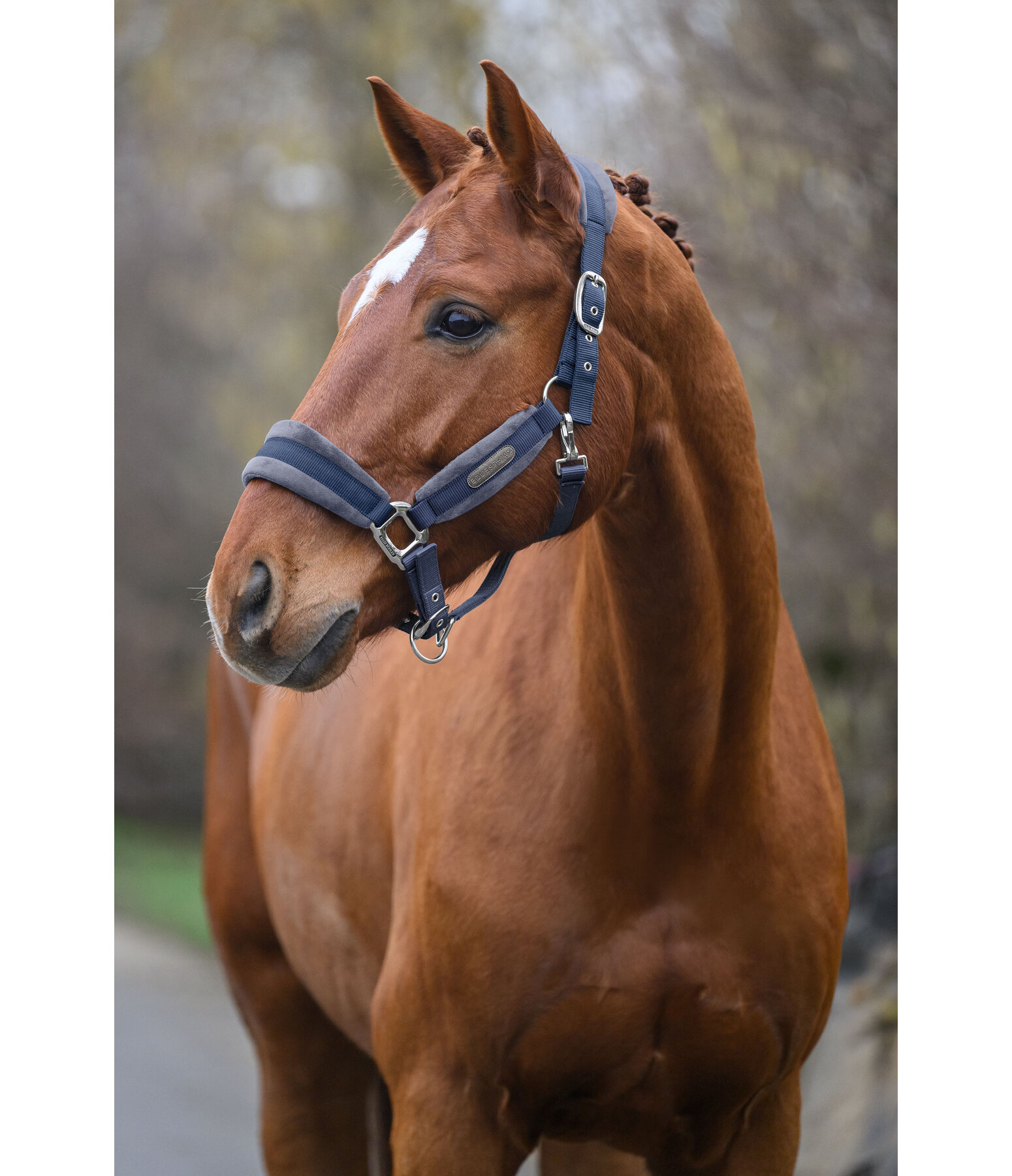 Headcollar Velvet