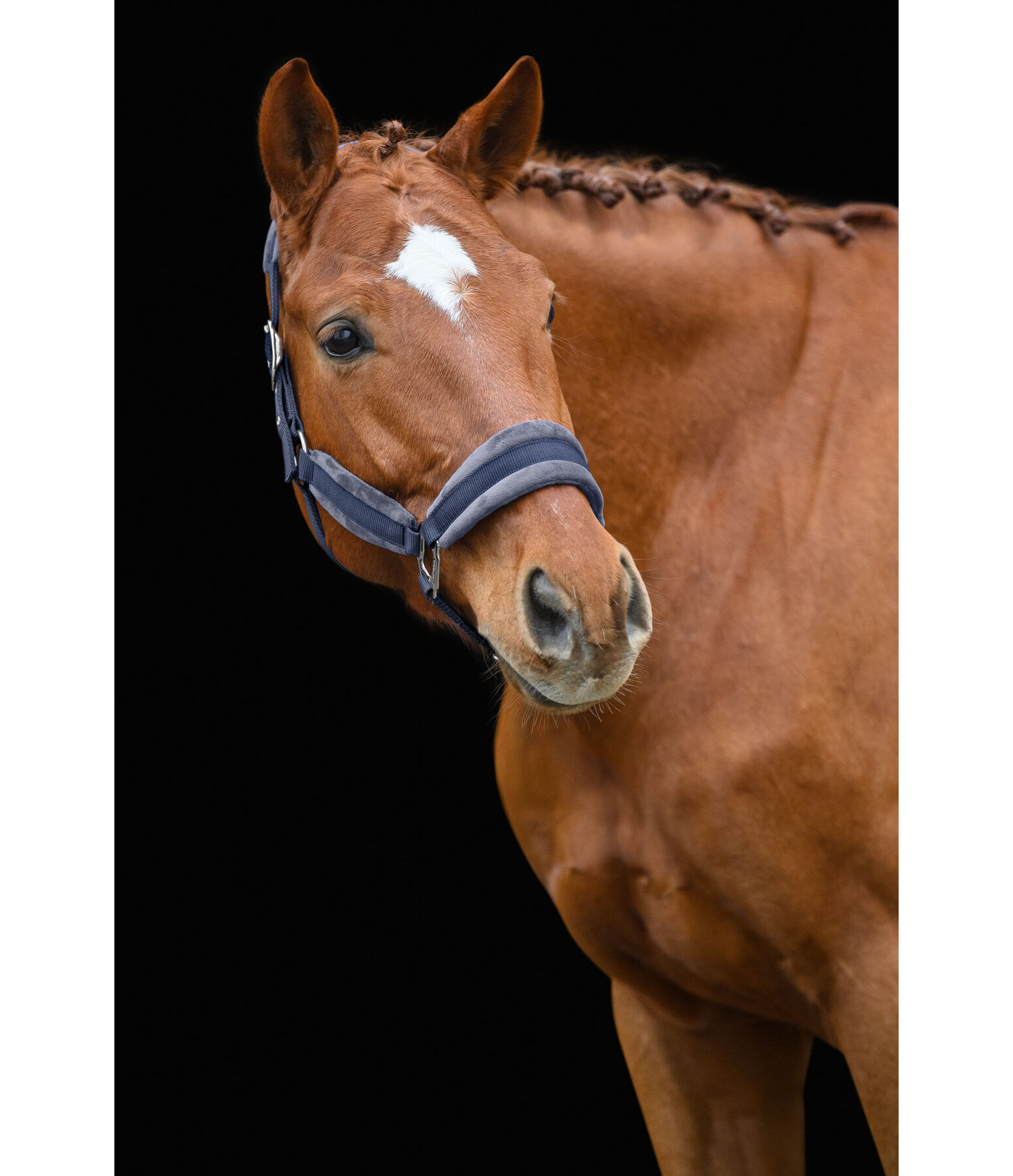 Headcollar Velvet