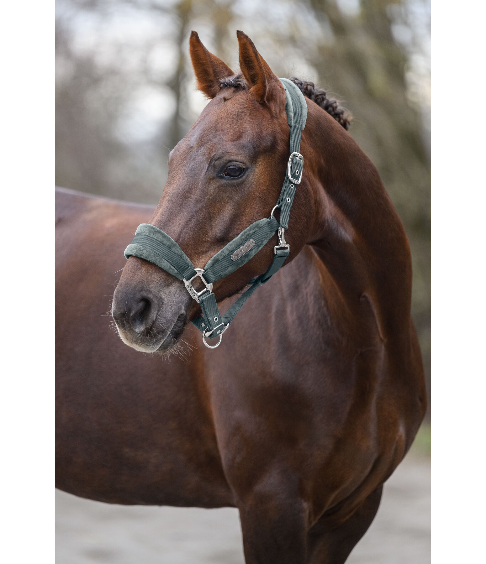 Headcollar Velvet