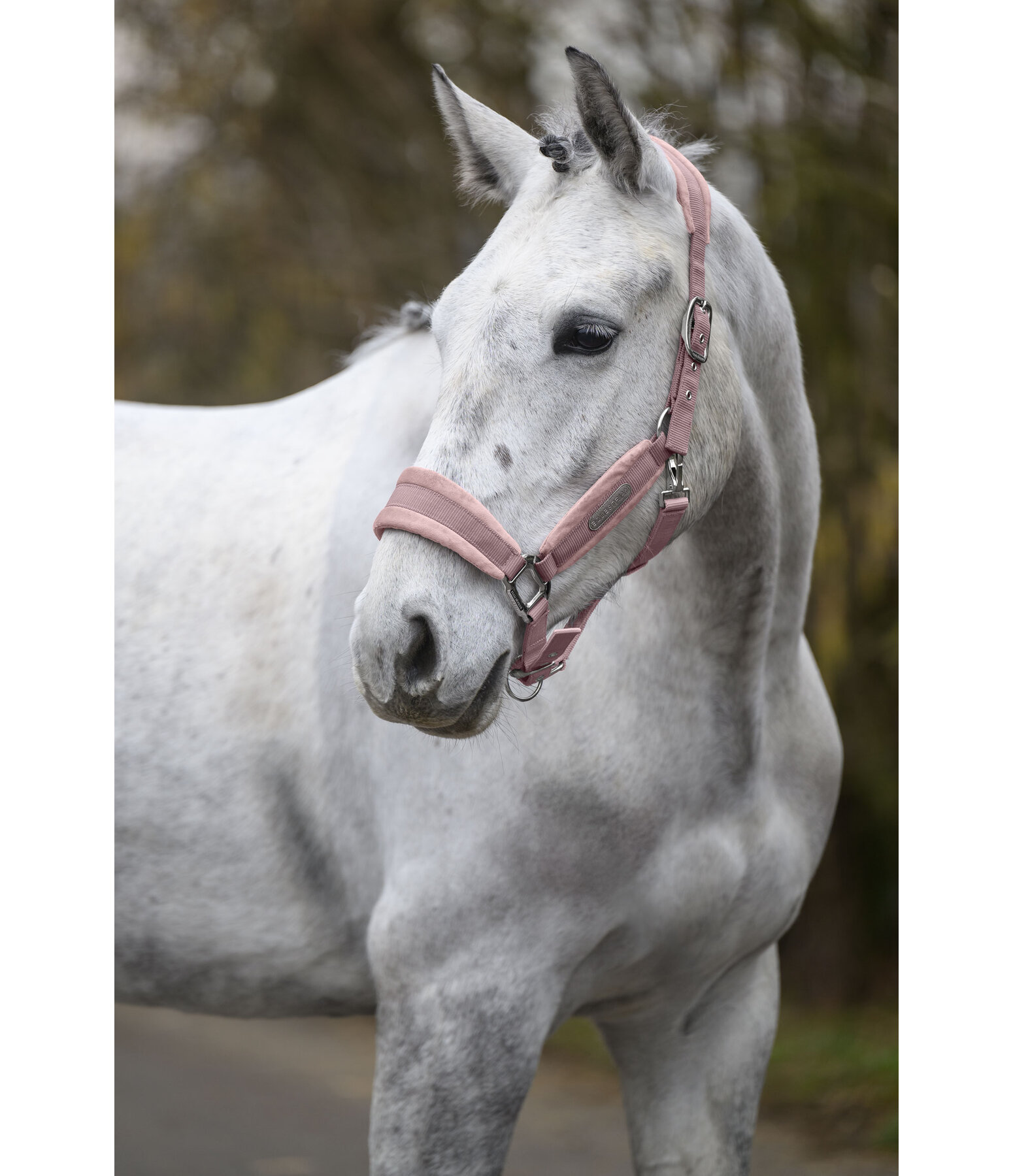 Headcollar Velvet