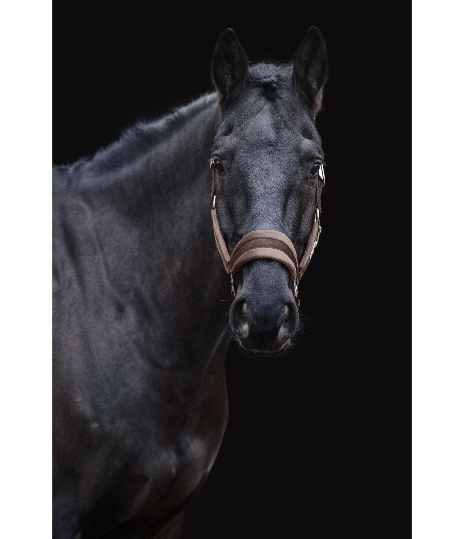 Headcollar Velvet