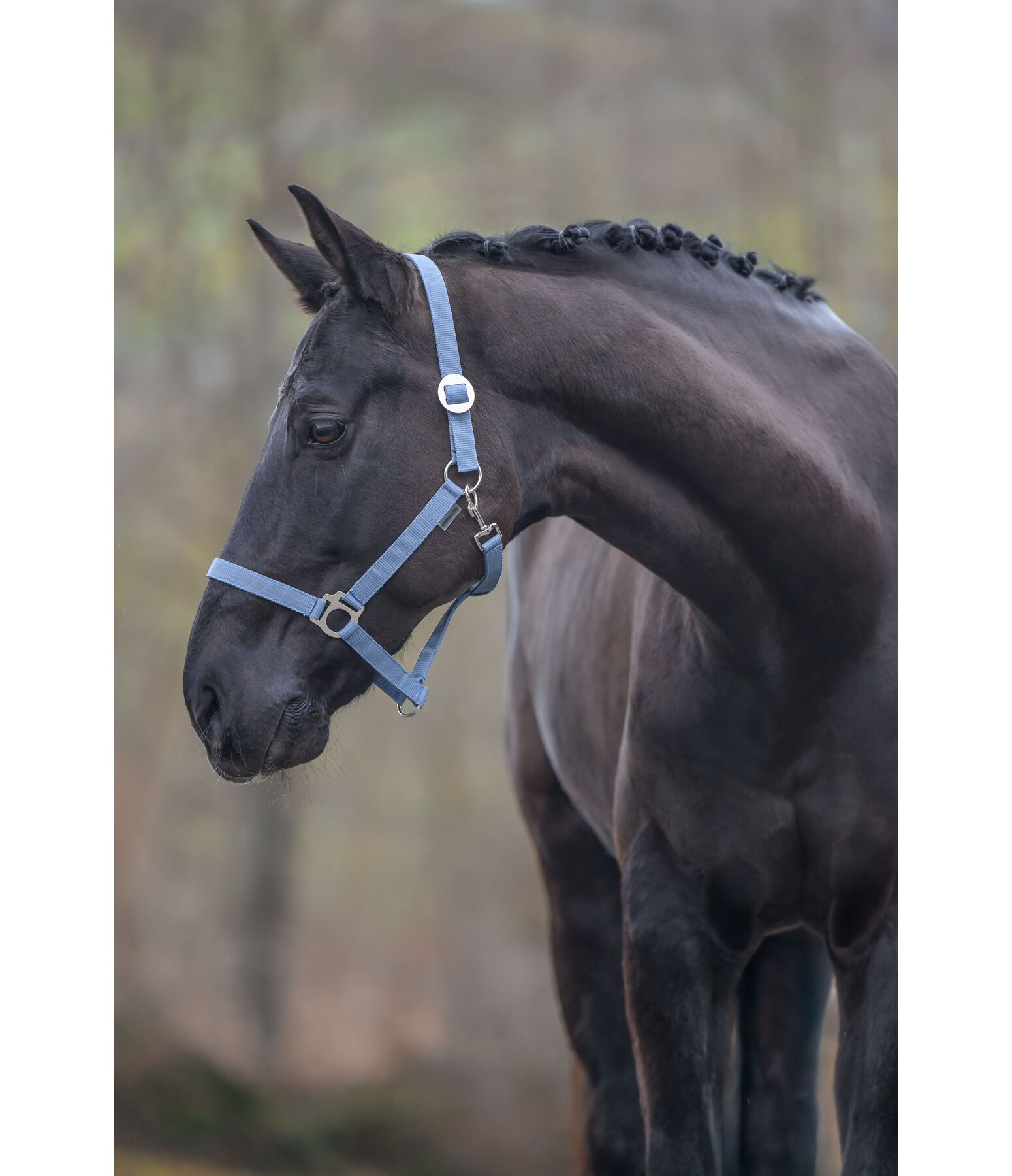Headcollar Super Price