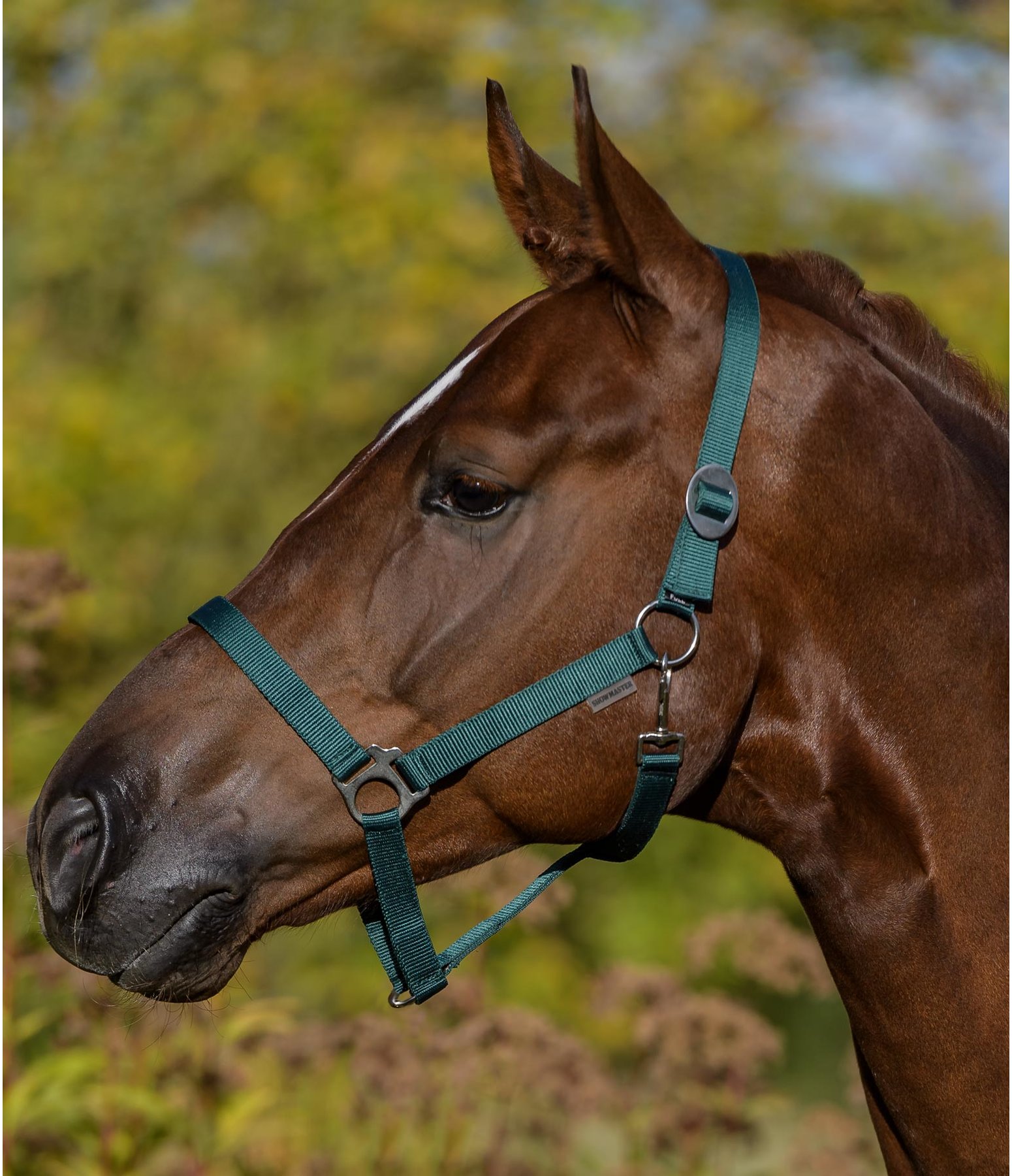 Headcollar Super Price