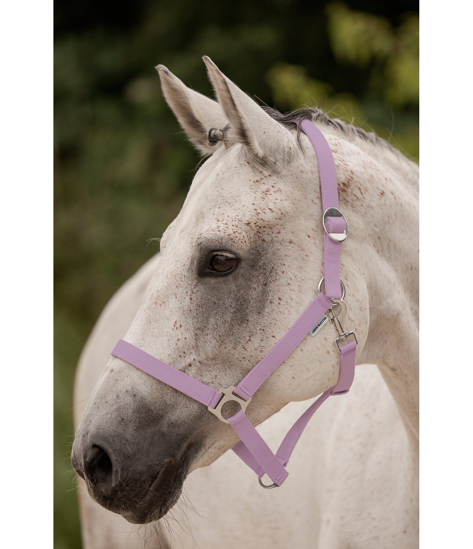 Headcollar Super Price