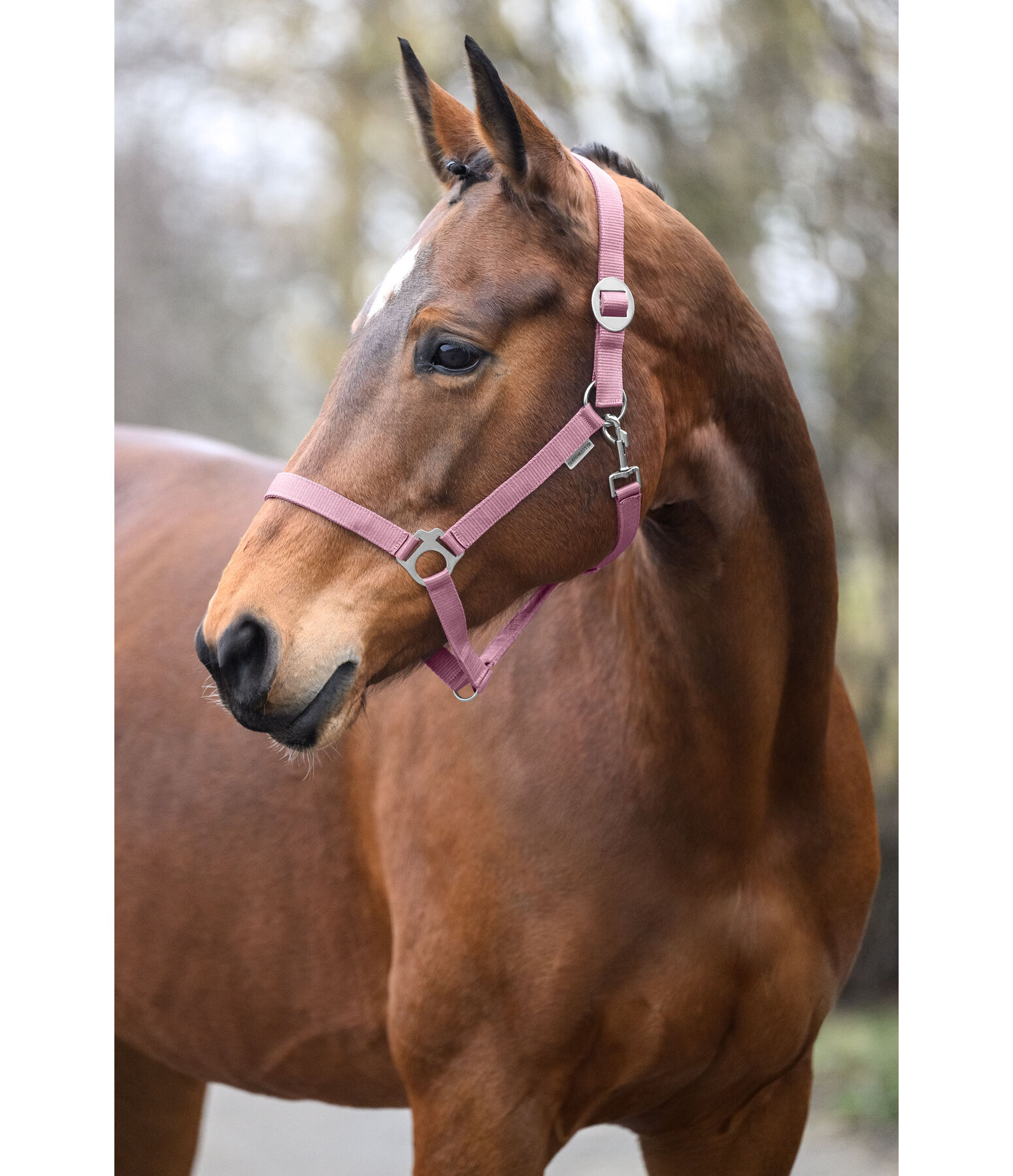 Headcollar Super Price