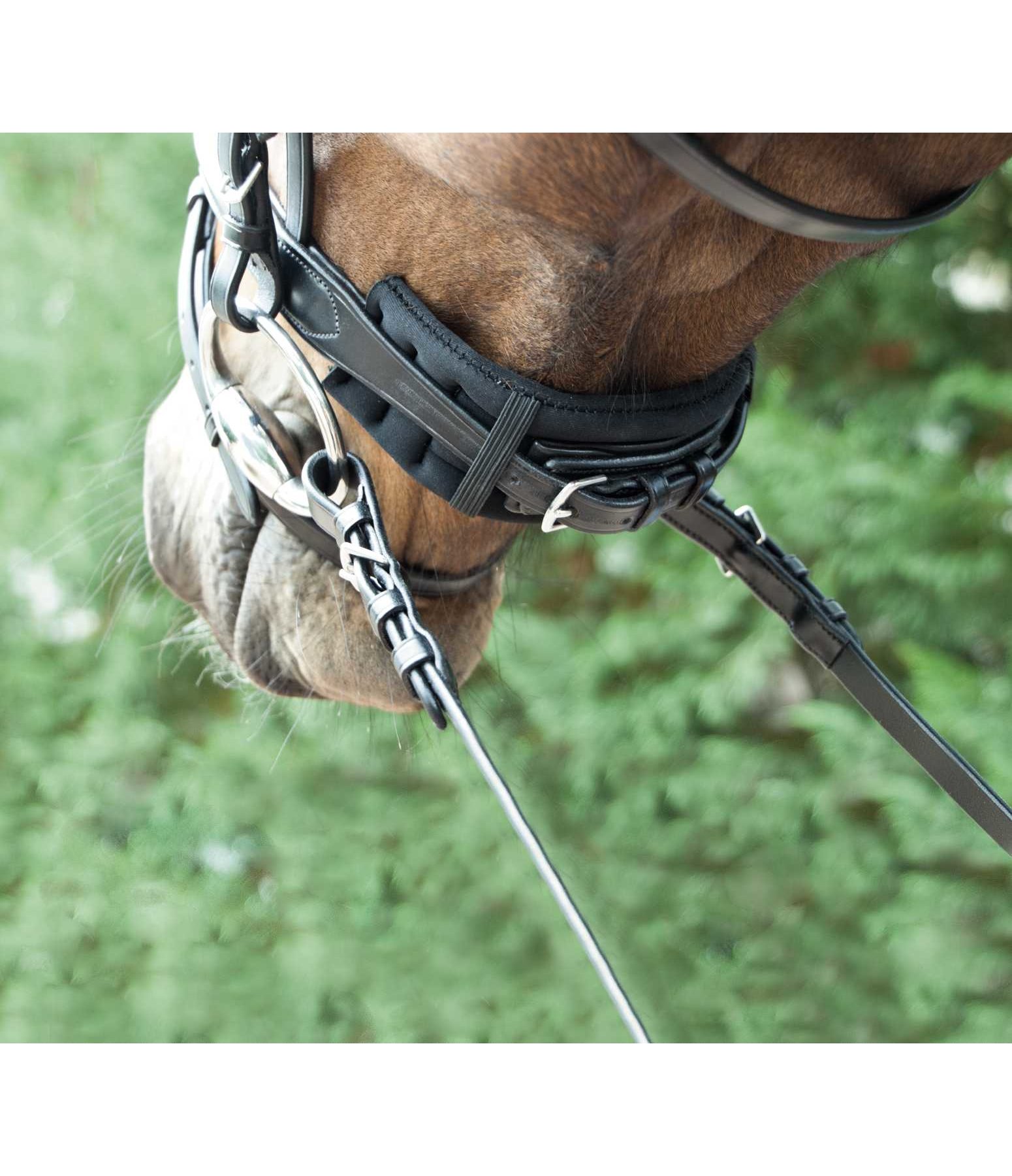 Bridle Padding