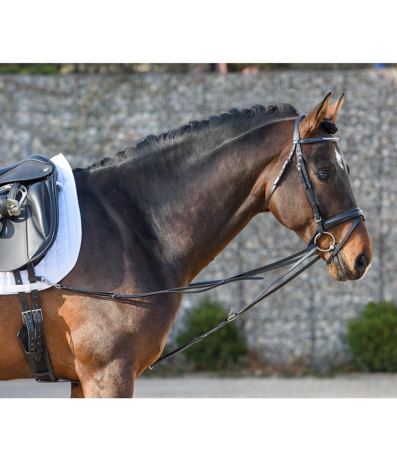 Running Side Reins Easy Fit Training Aids Kramer Equestrian