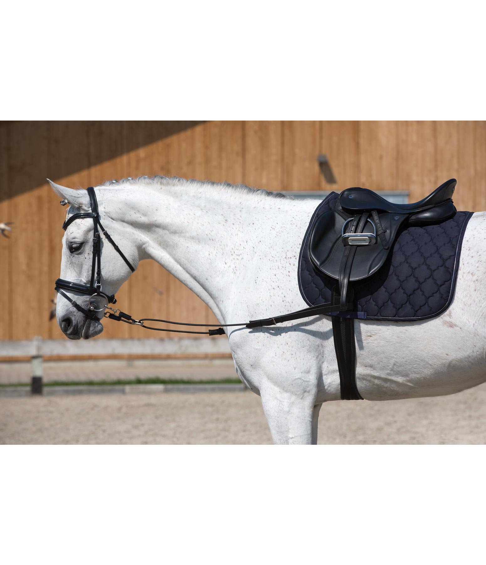 Elastic Side Reins Lungeing & Schooling Aids Kramer Equestrian