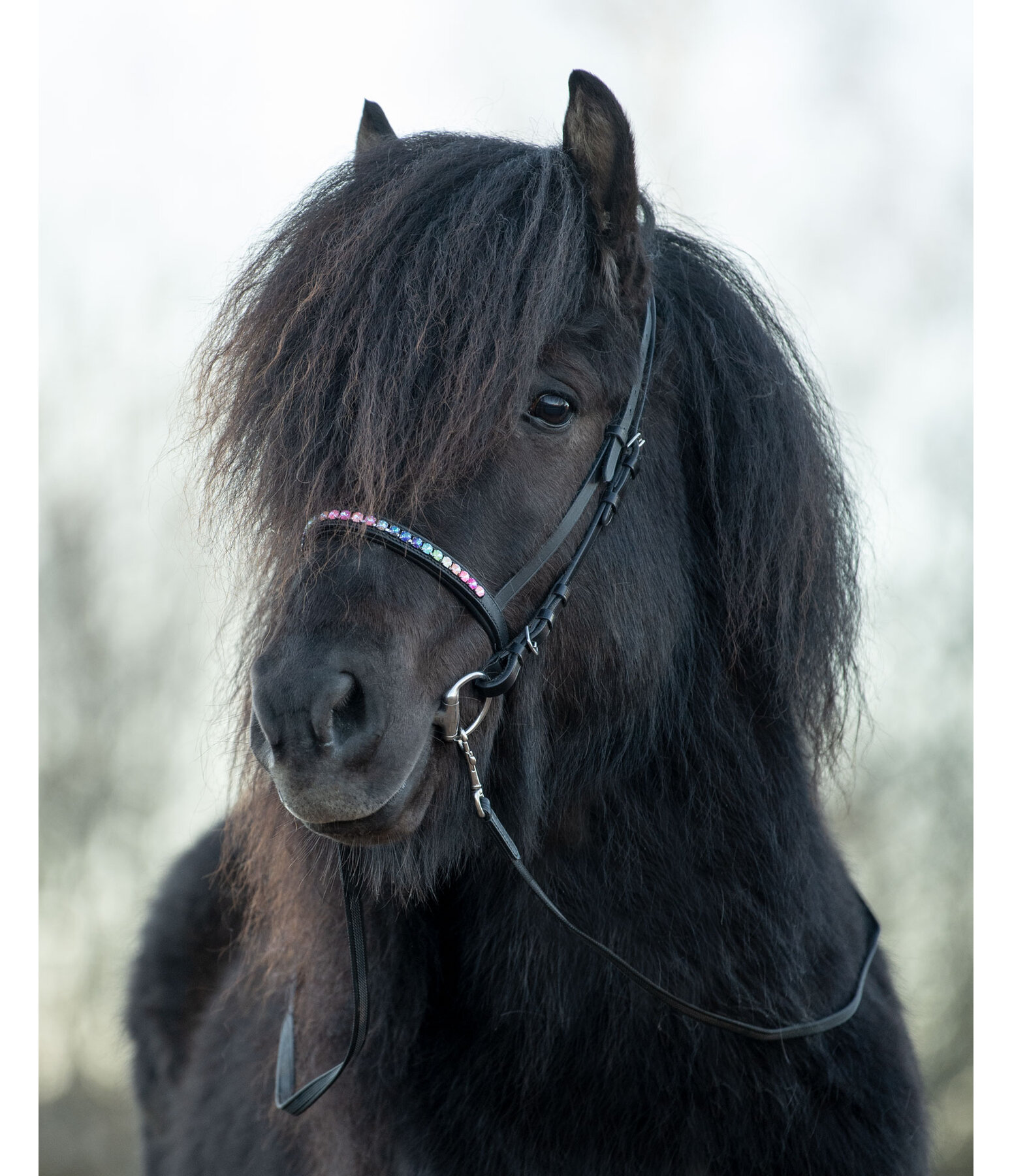 Icelandic Anti-Slip Reins