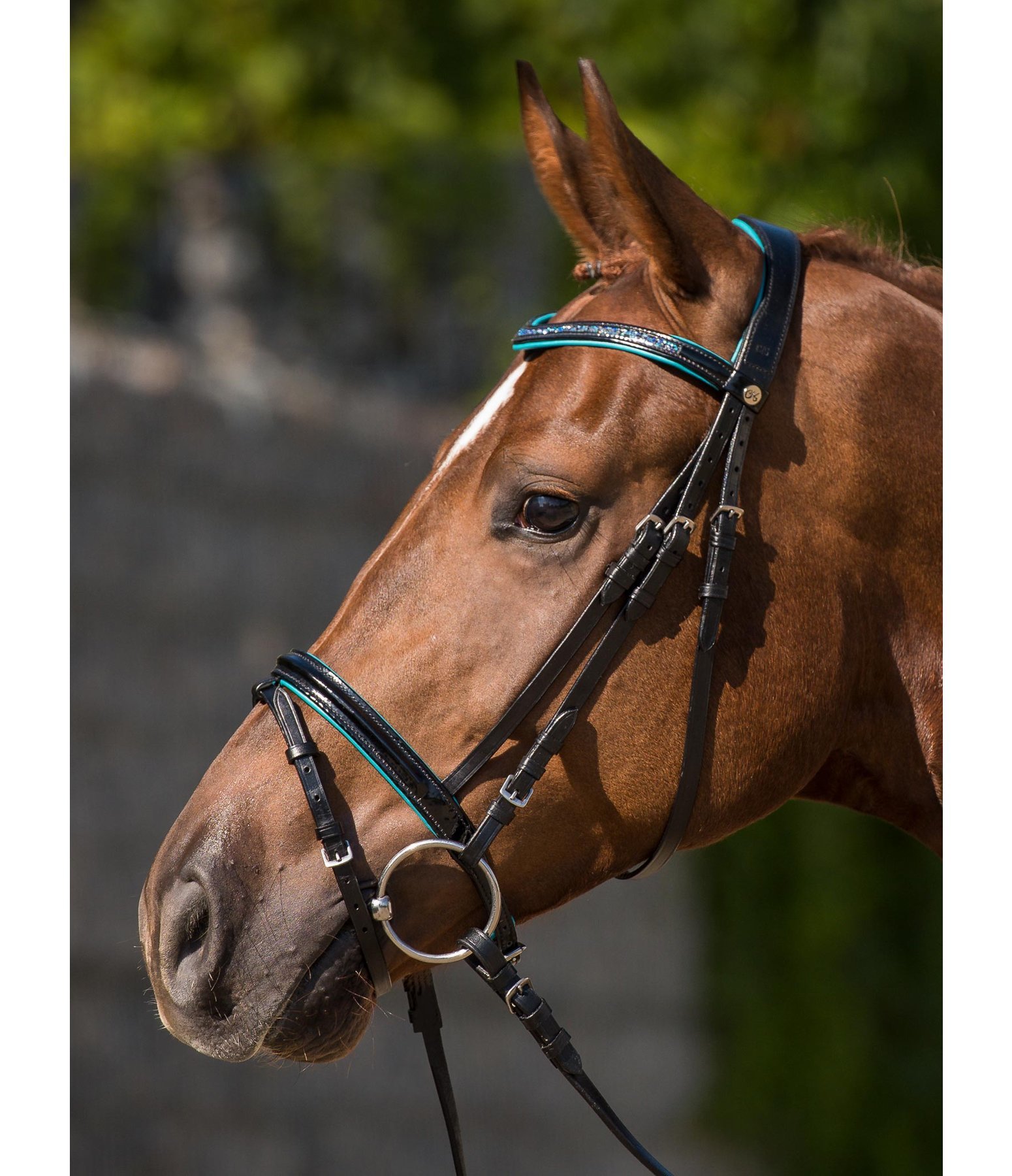 Flash Bridle Kim Cavesson & Flash Nosebands Kramer Equestrian