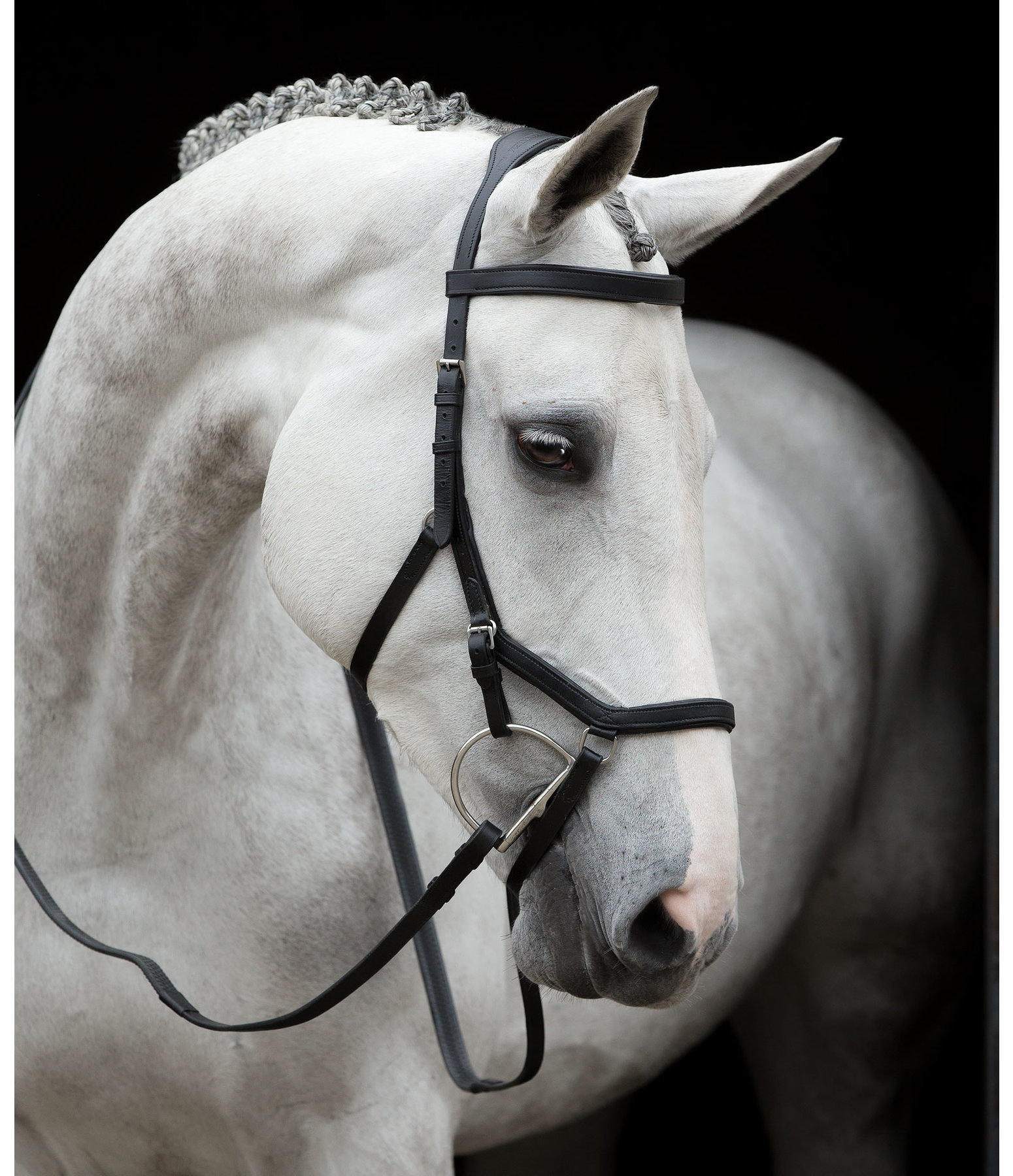 RAMBO MICKLEM Competition Bridle