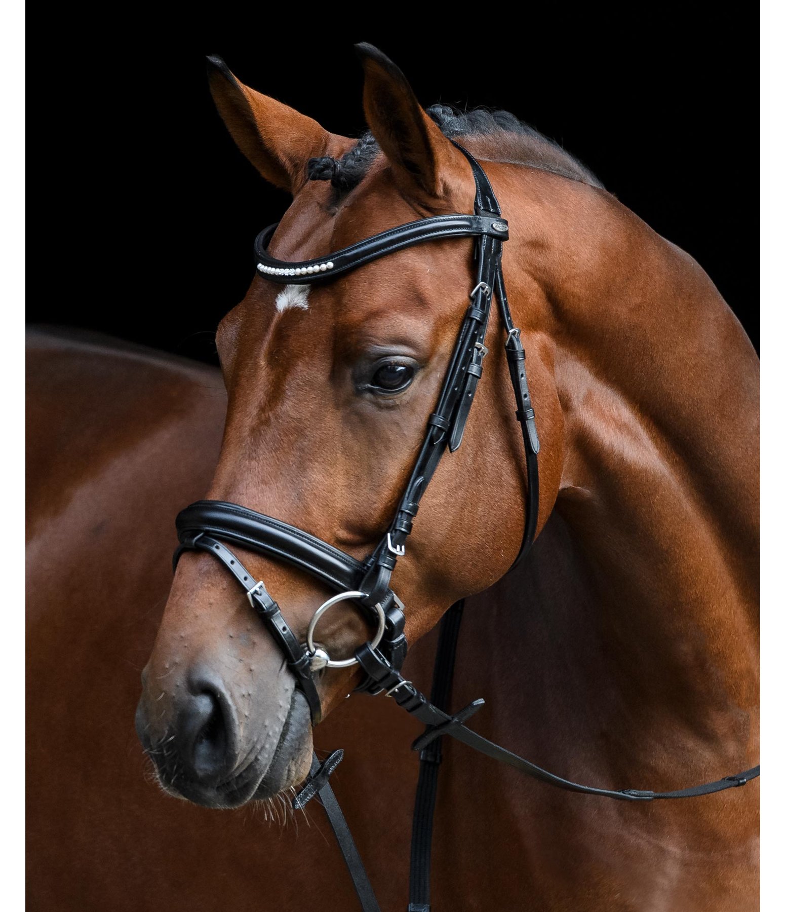 Crank Flash Bridle Anatomical Elastic Pull Back Nosebands & Double