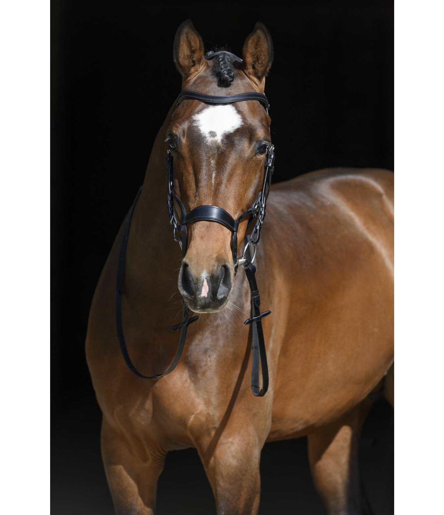 Bridle Malmö Drop Nosebands & Spanish Bridles Kramer Equestrian