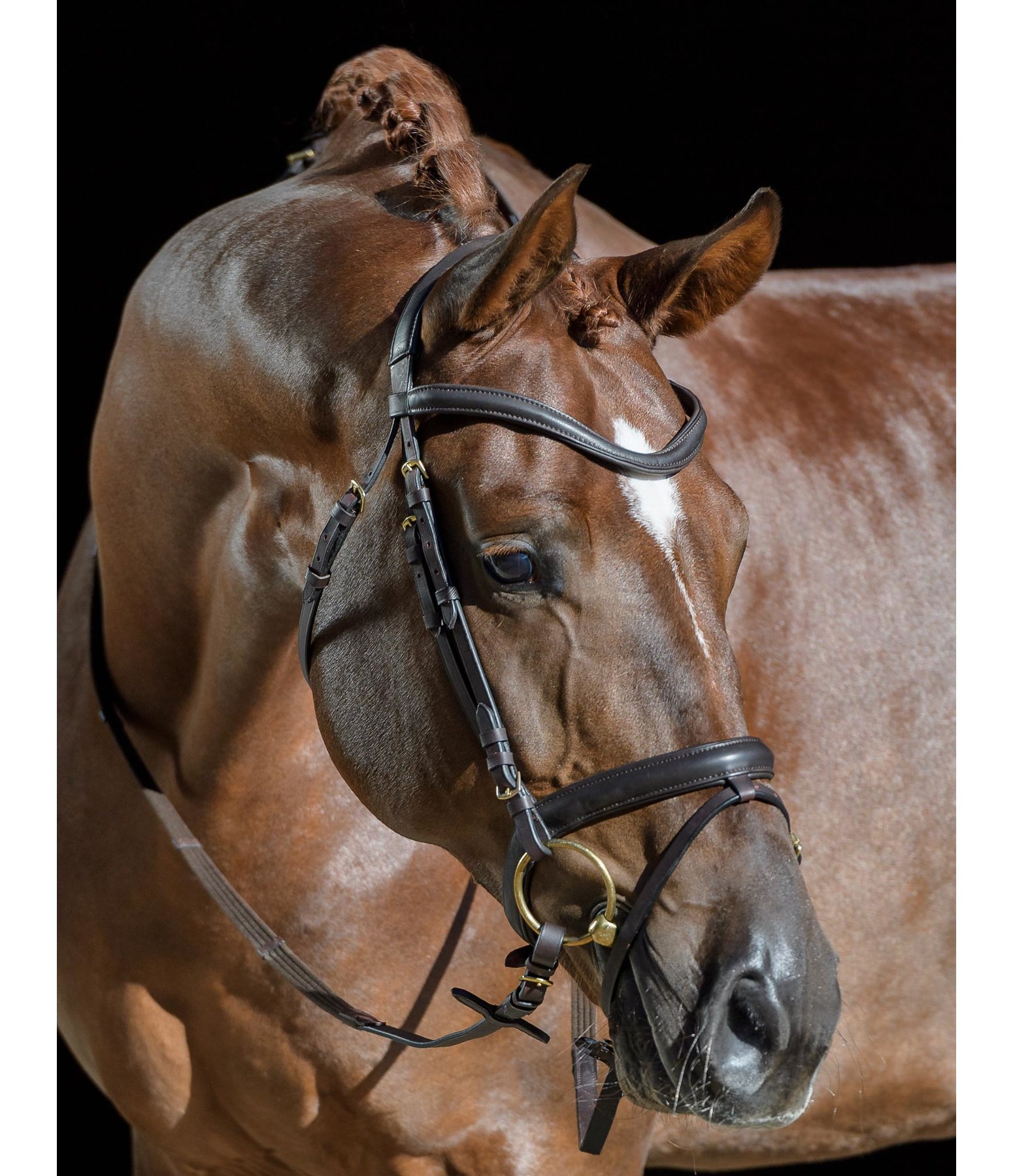 Flash Bridle Soft Comfort