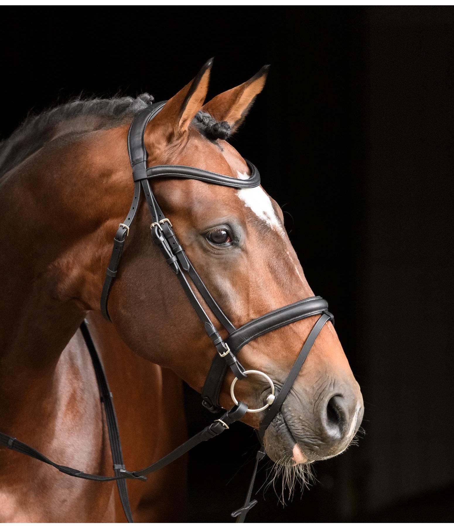 Flash Bridle Soft Comfort