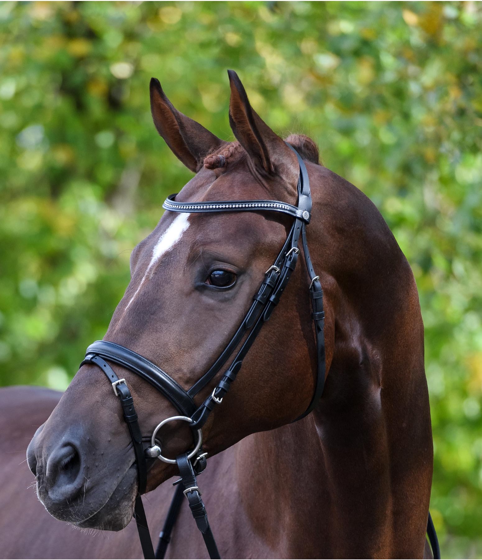 Flash Bridle Estelle Cavesson & Flash Nosebands Kramer Equestrian