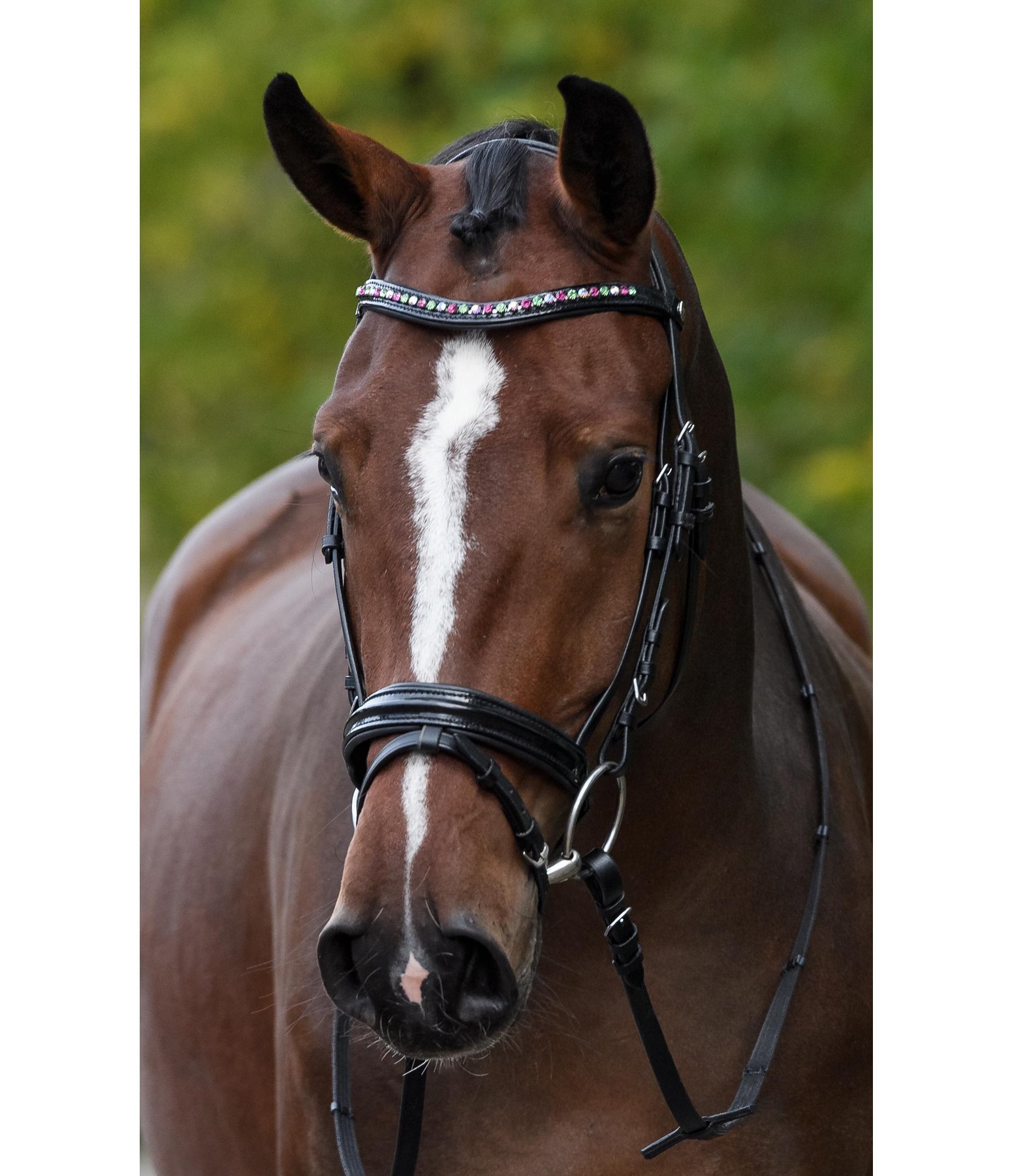 Flash Bridle Nicole Cavesson & Flash Nosebands Kramer Equestrian