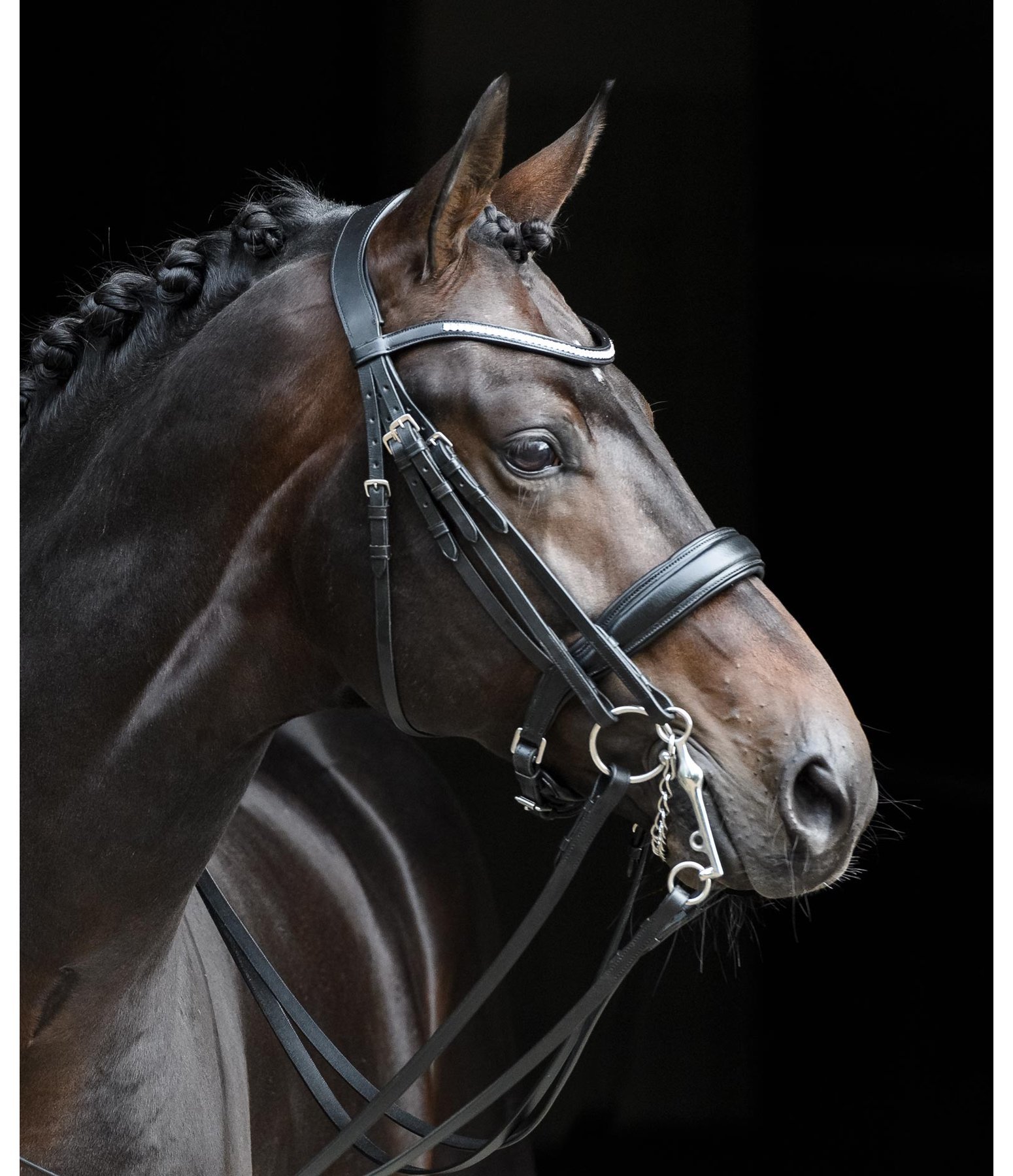 Best quality dressage bridles