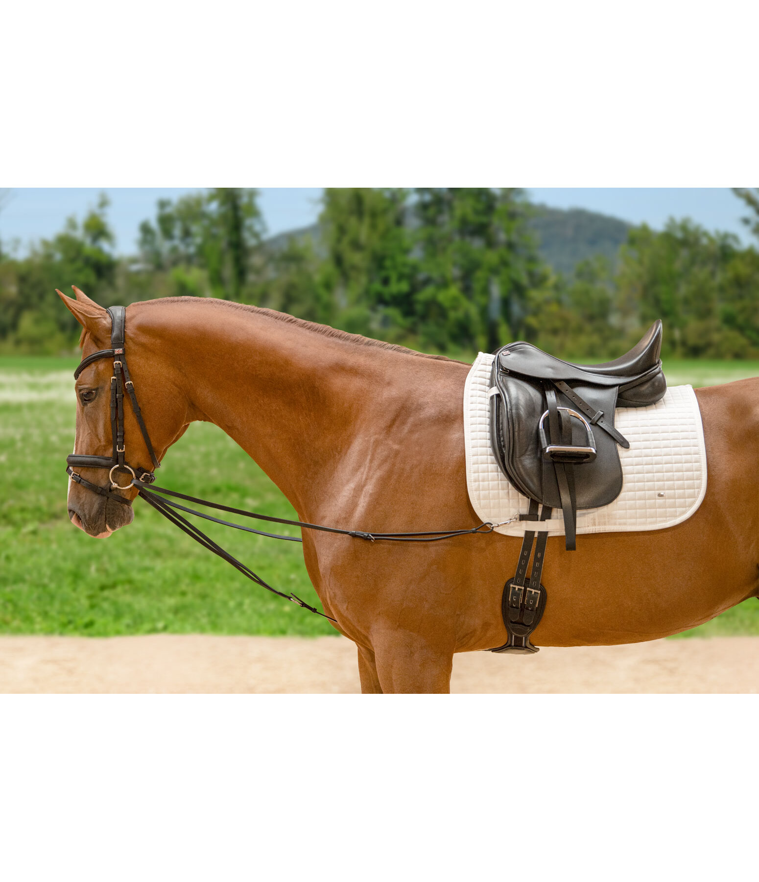 Running Side Reins Easy Fit II