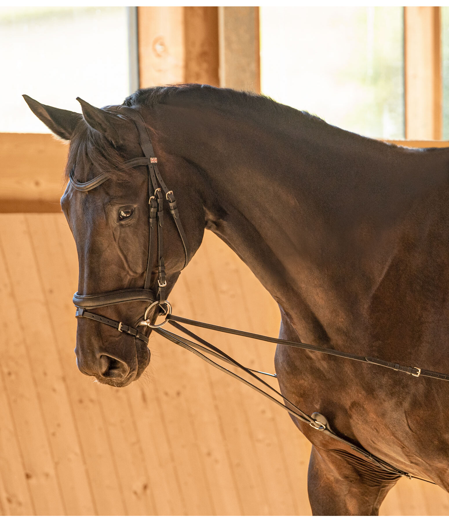 Running Side Reins Easy Fit II