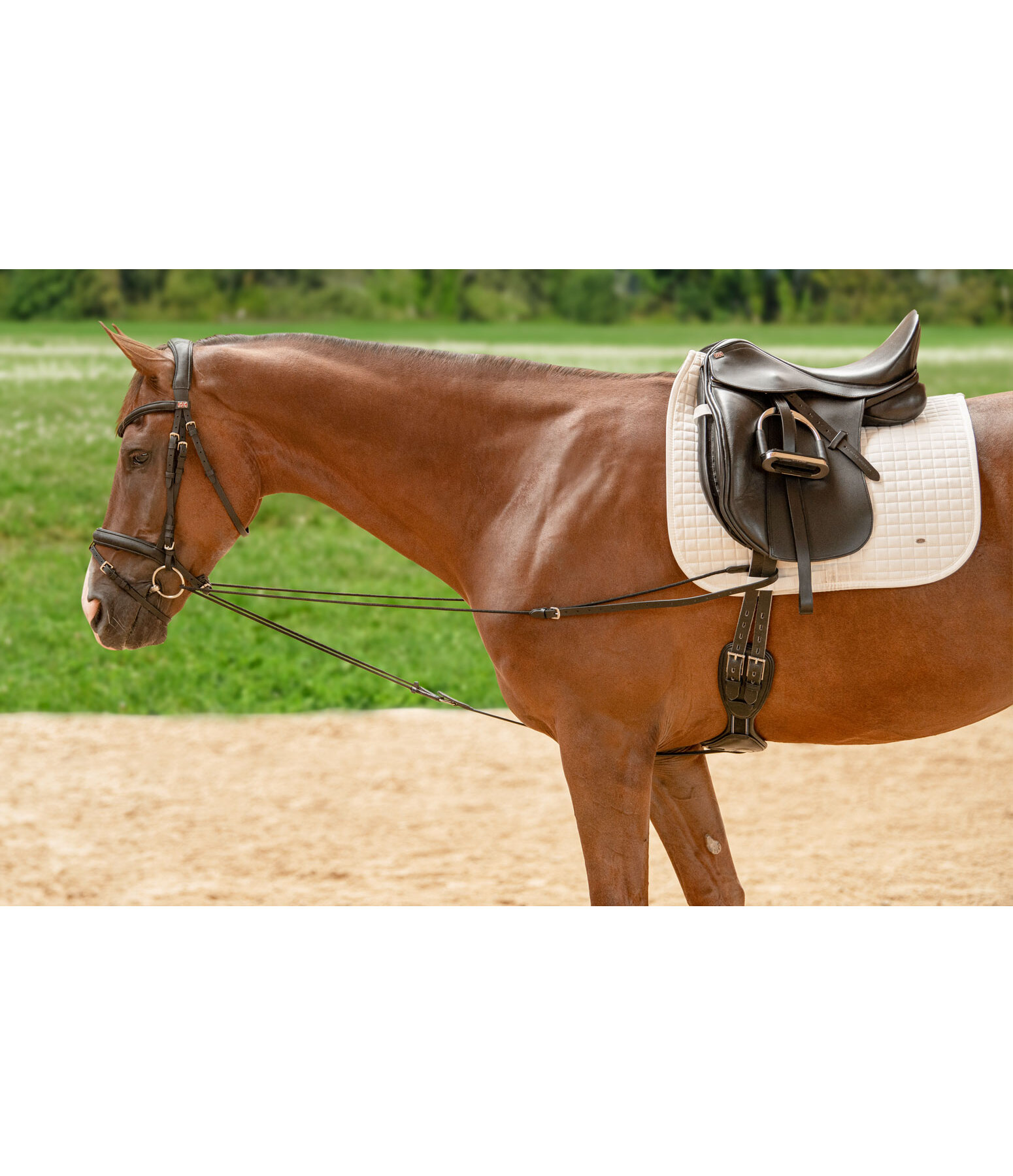 Running Side Reins Slide Ii Training Aids Kramer Equestrian