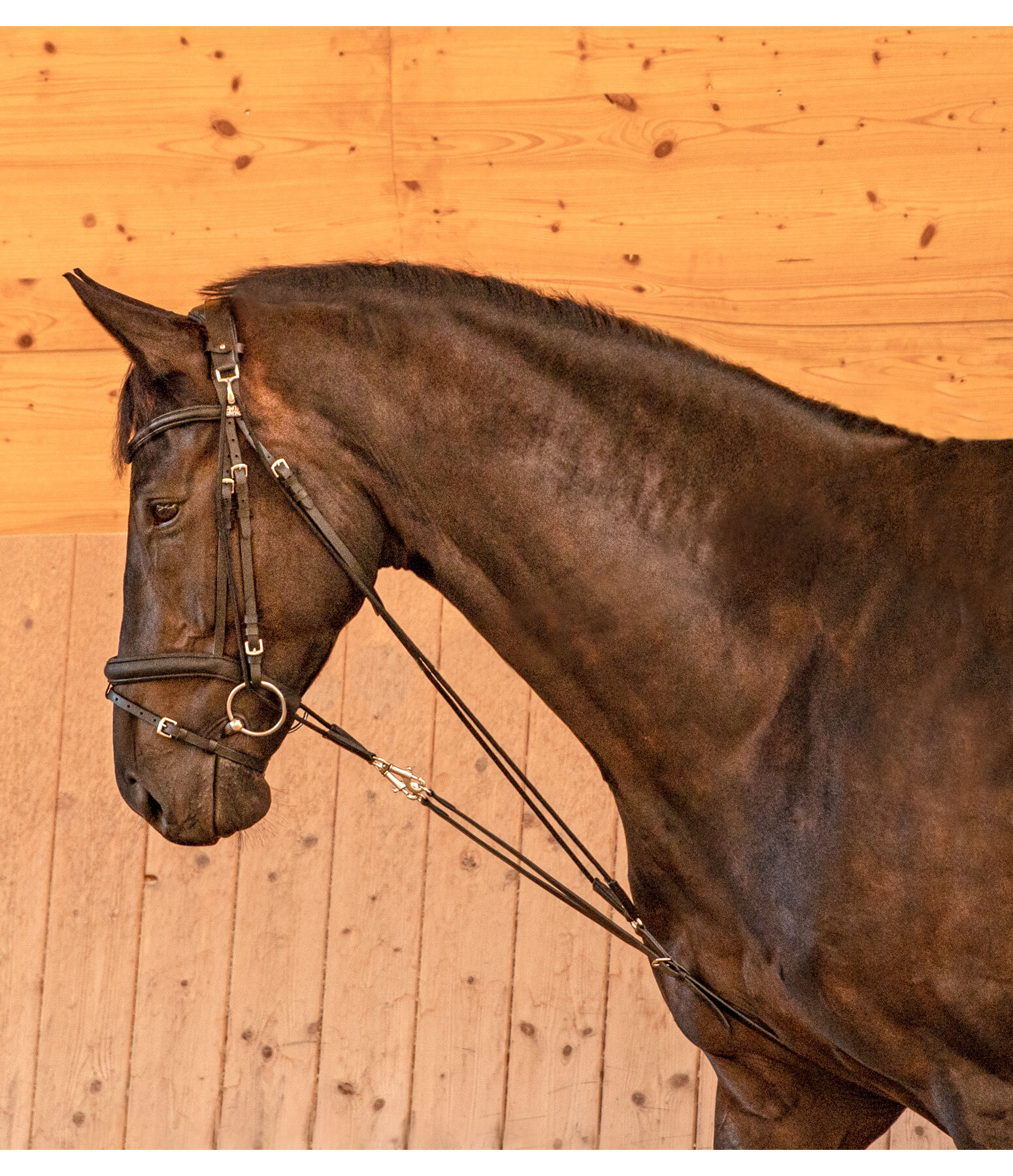 De Gogue Training Aid II Lungeing & Schooling Aids Kramer Equestrian