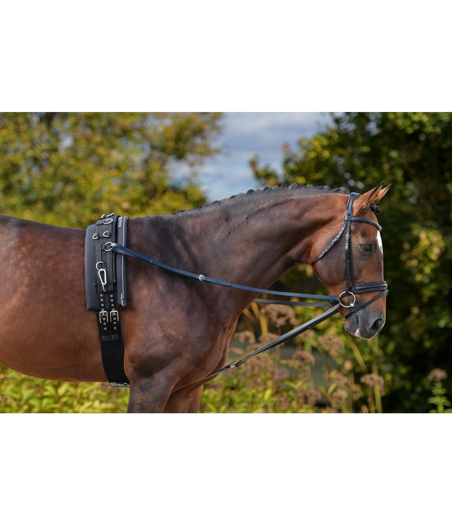 Running Side Reins II Lungeing & Schooling Aids Kramer Equestrian