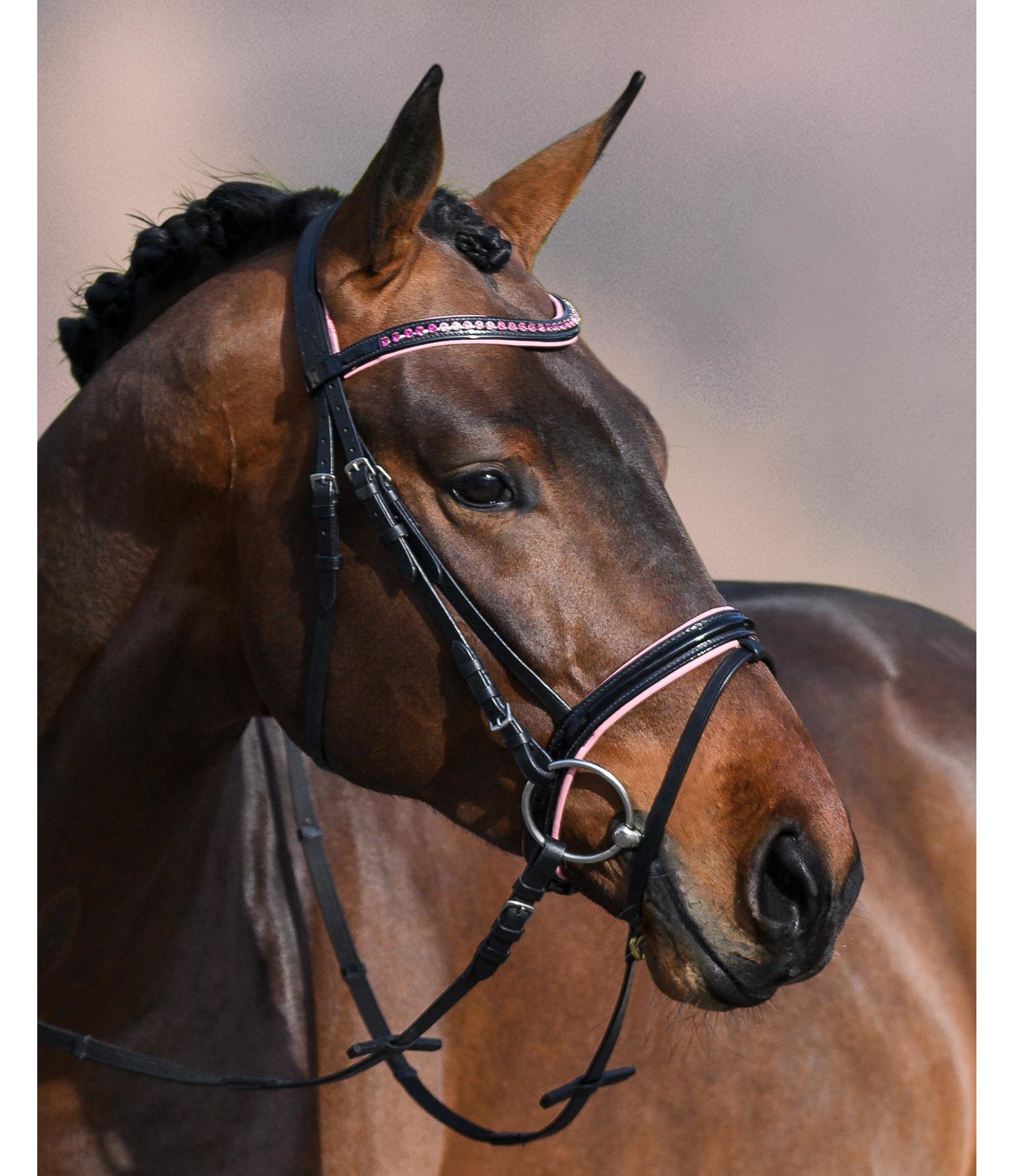 Flash Bridle Carla Cavesson & Flash Nosebands Kramer Equestrian