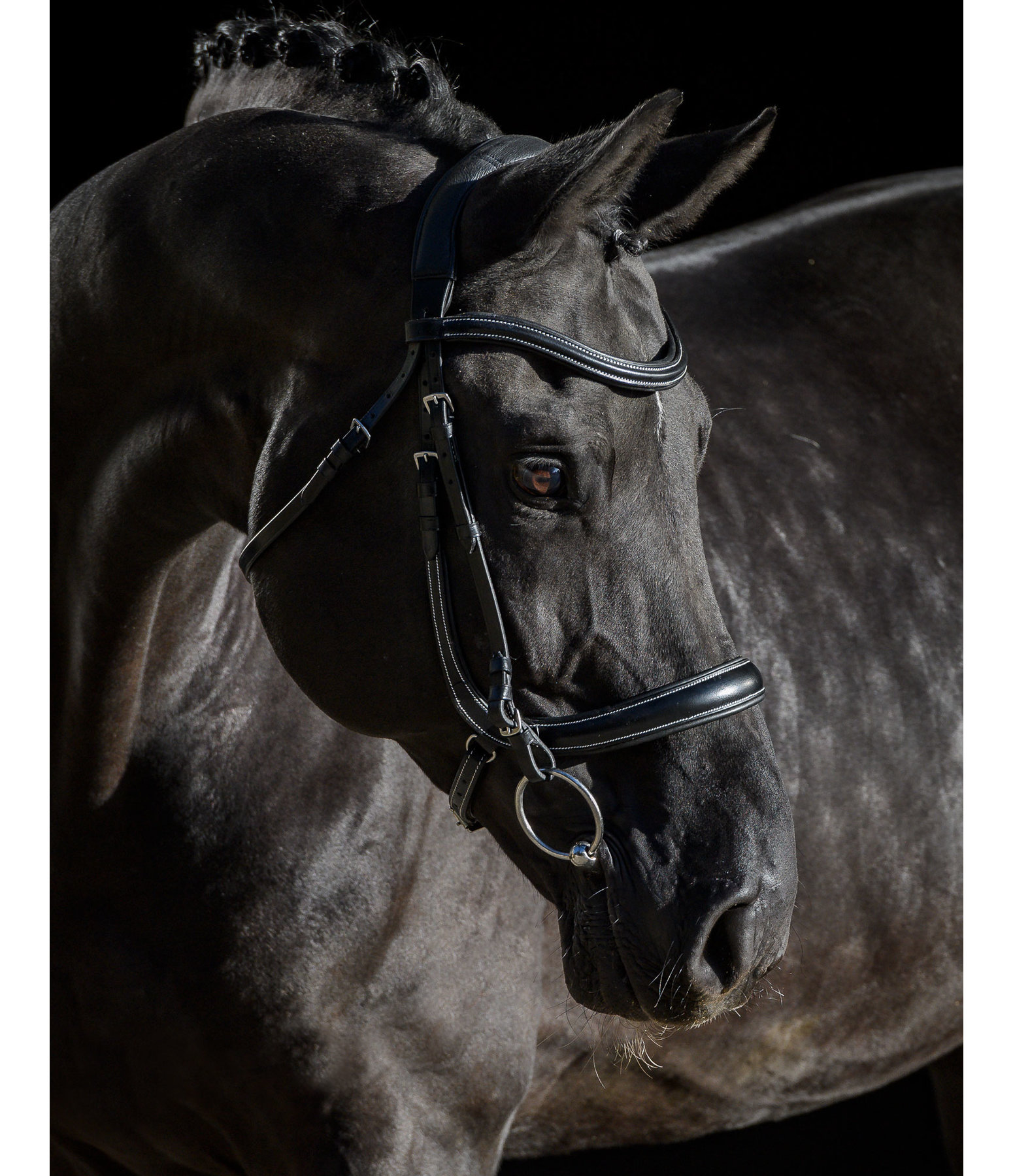 Cavesson Bridle Anatomical Innovation Kramer Equestrian