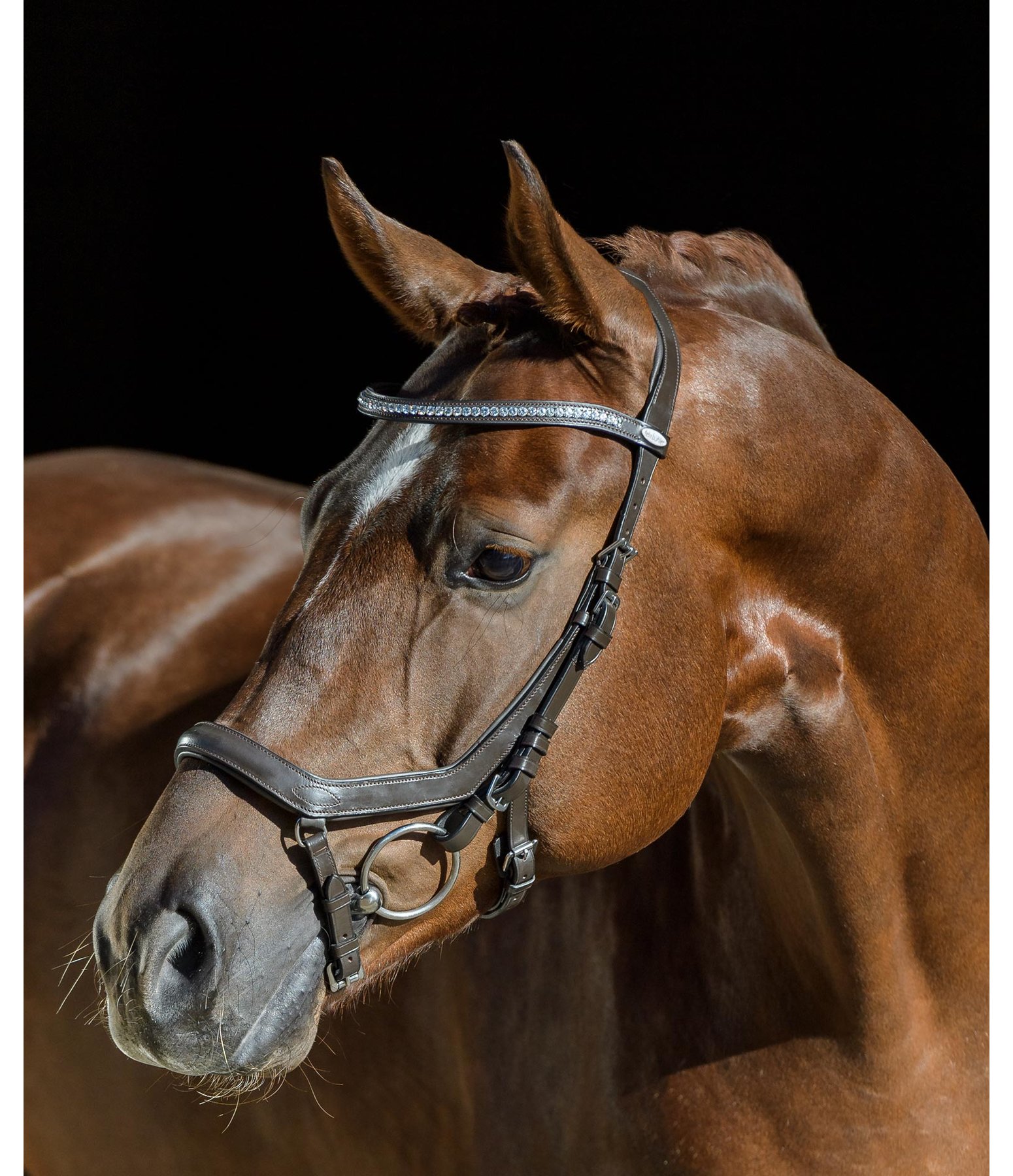 Bridle Anatomical Pro Deluxe Wide Kramer Equestrian