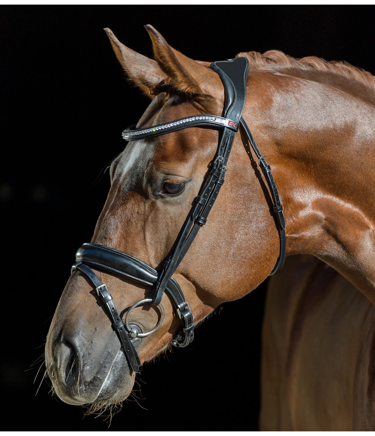 CLARIDGE HOUSE Crank Flash Bridle No Neck Pressure Kramer Equestrian