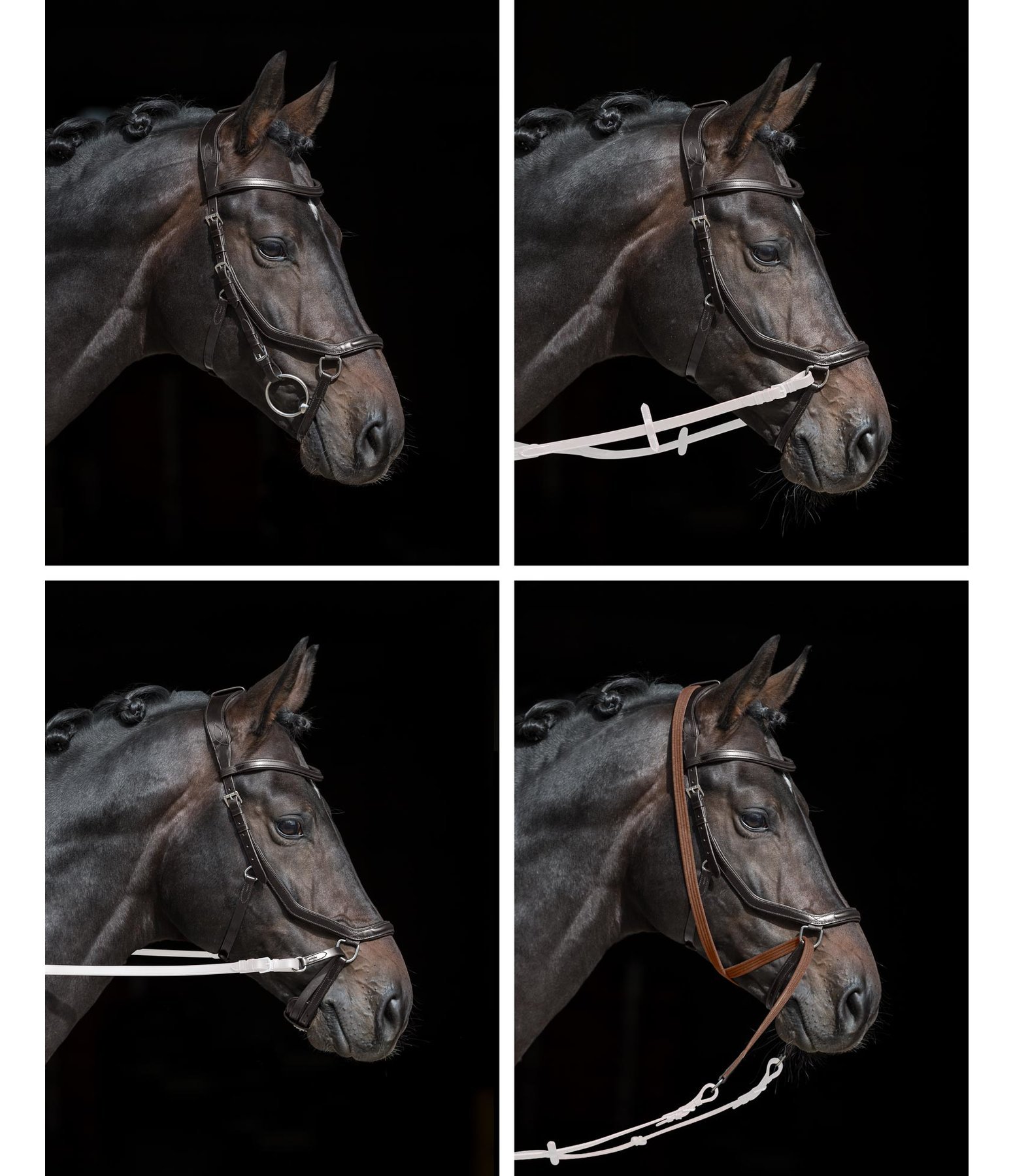 Bridle Anatomical 4WayUseBitless Kramer Equestrian