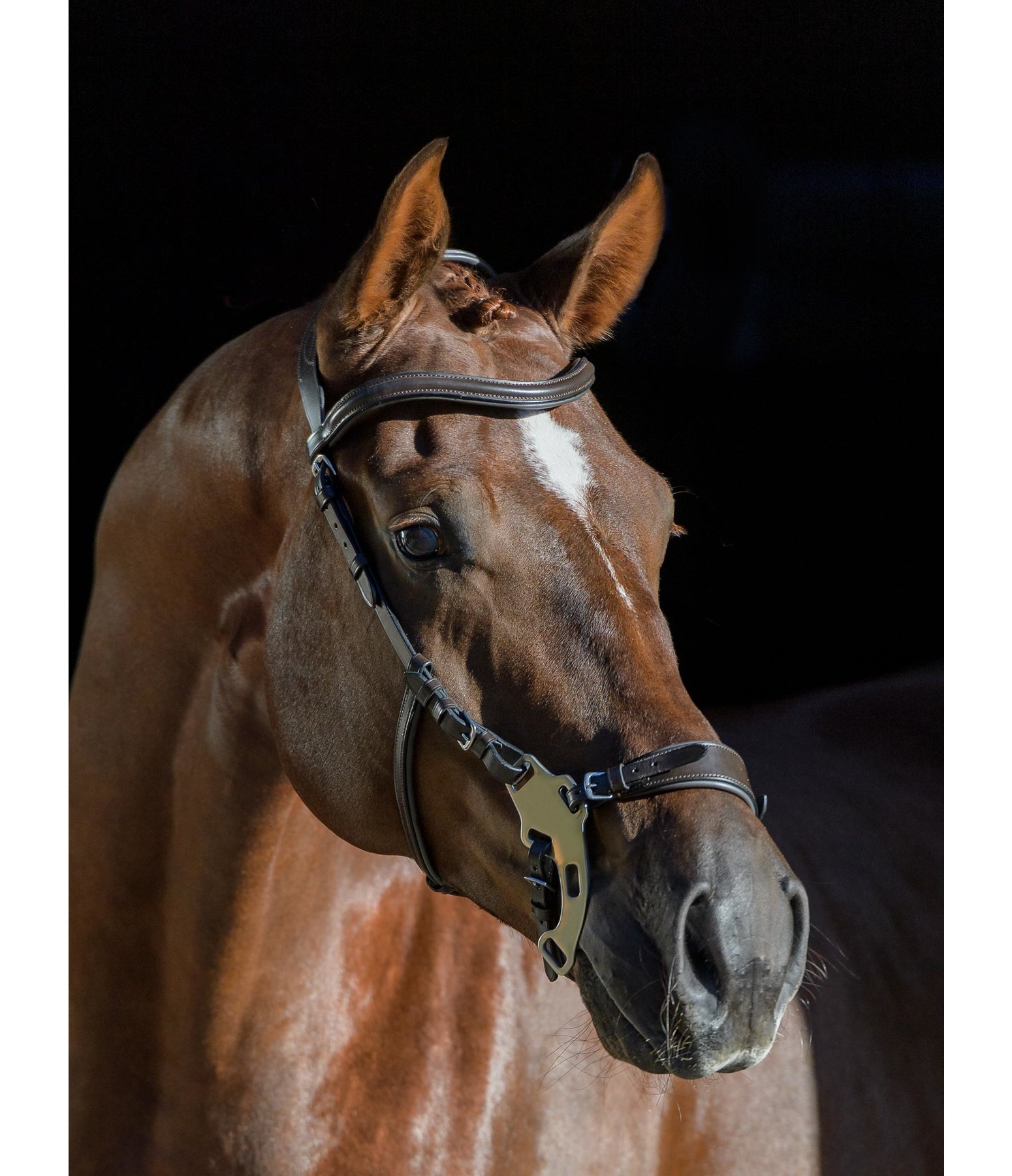 Hackamore Anatomical Bitless Bridles Kramer Equestrian