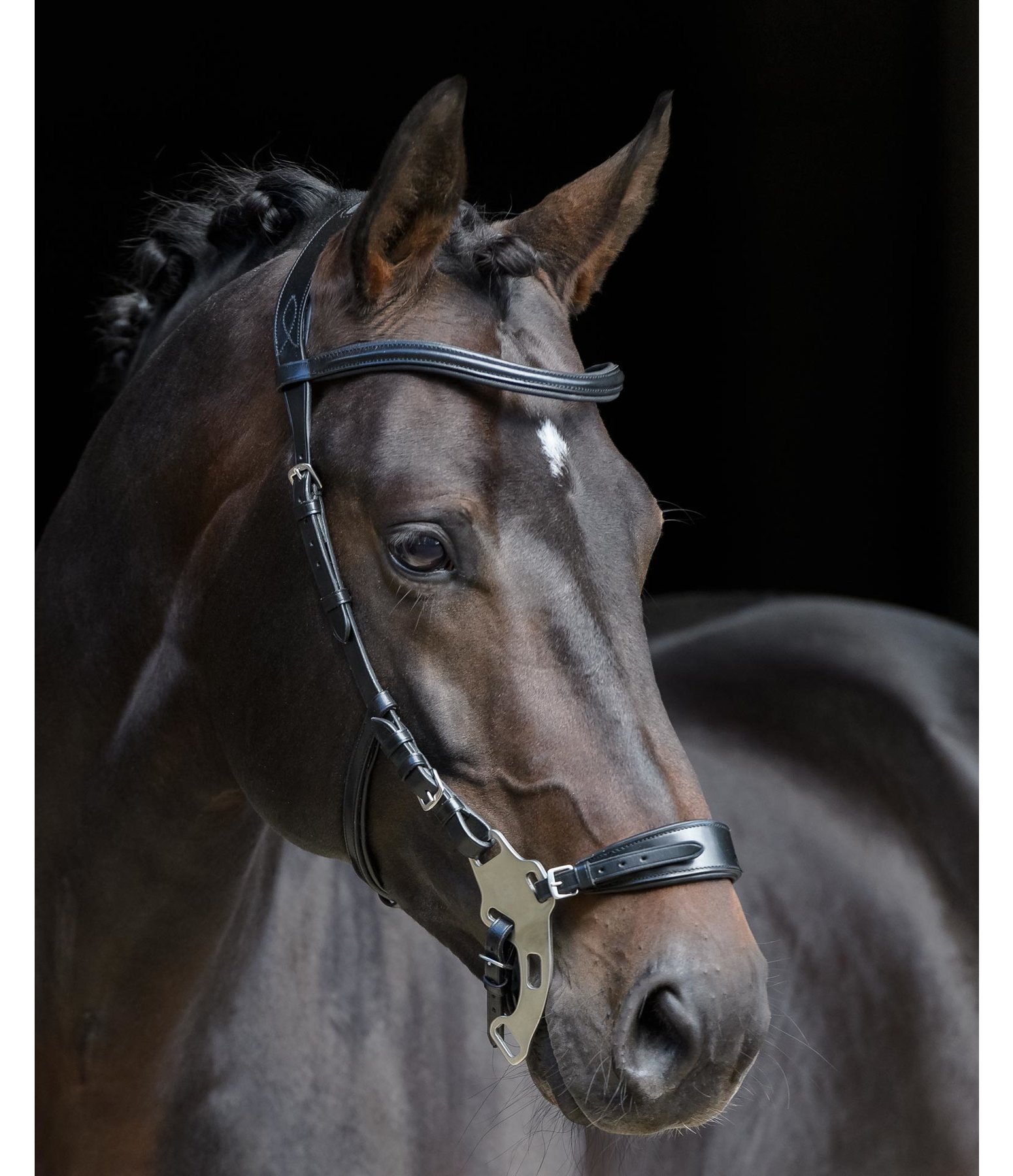 Hackamore Anatomical Bitless Bridles Kramer Equestrian