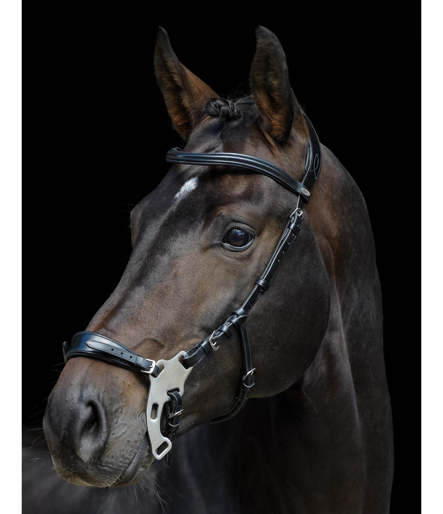 Hackamore Anatomical Bitless Bridles Kramer Equestrian