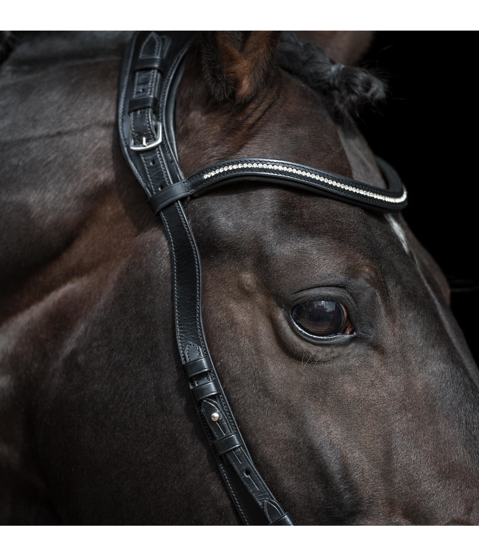 Bridle Eye Freedom Ontario Crank Flash Bridles & Double Bridles