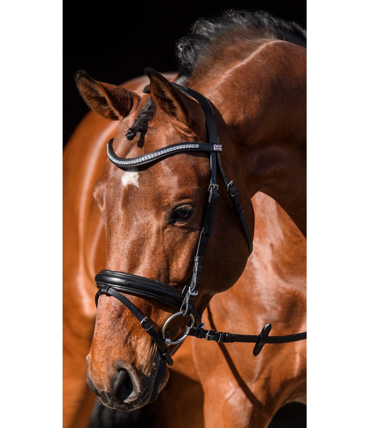 Flash Bridle Marley