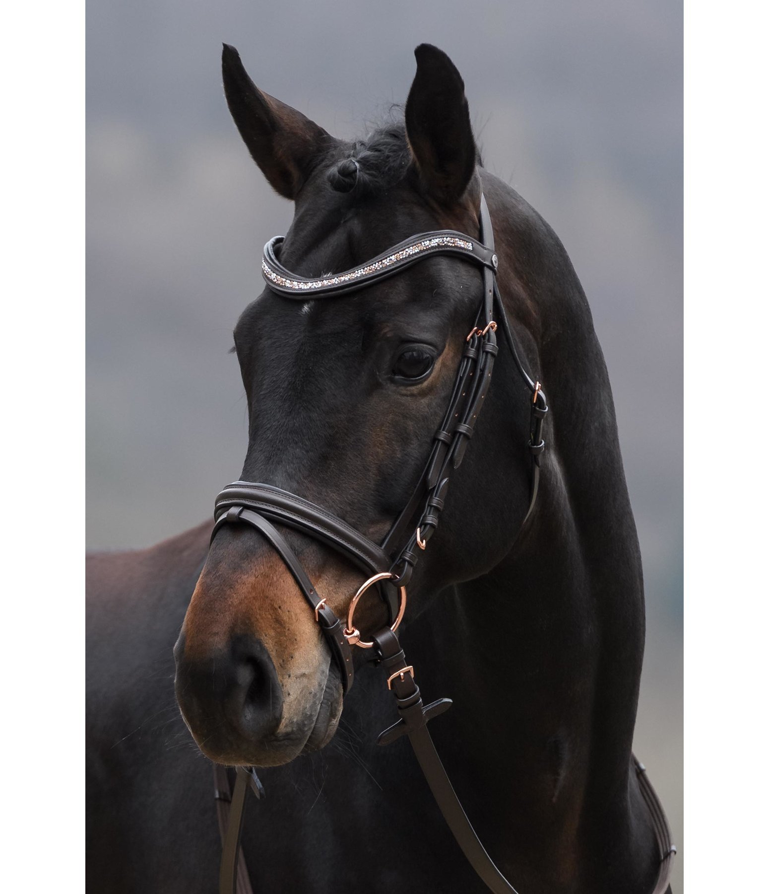 Flash Bridle Rosalinde