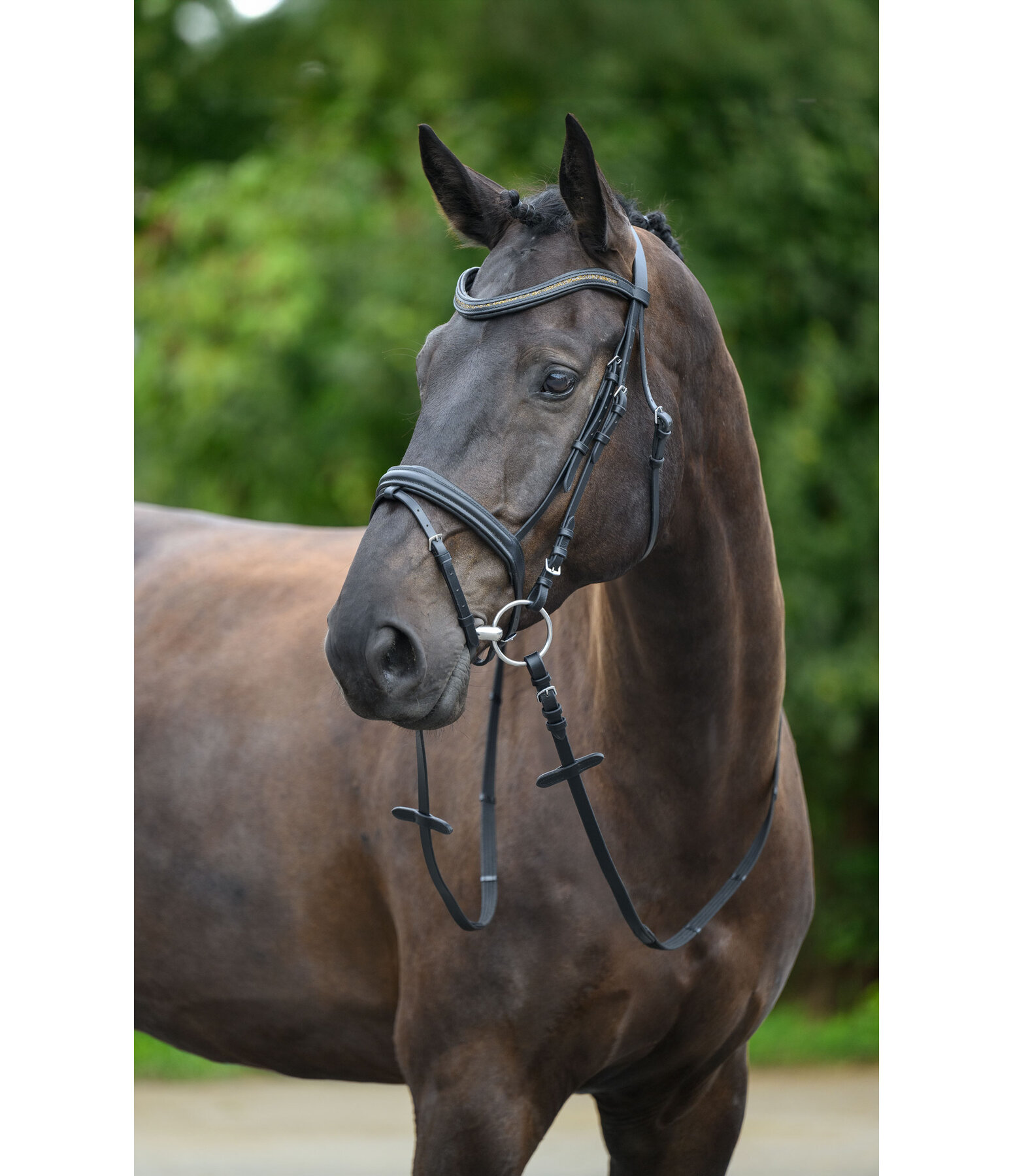 Flash Bridle Rosalinde