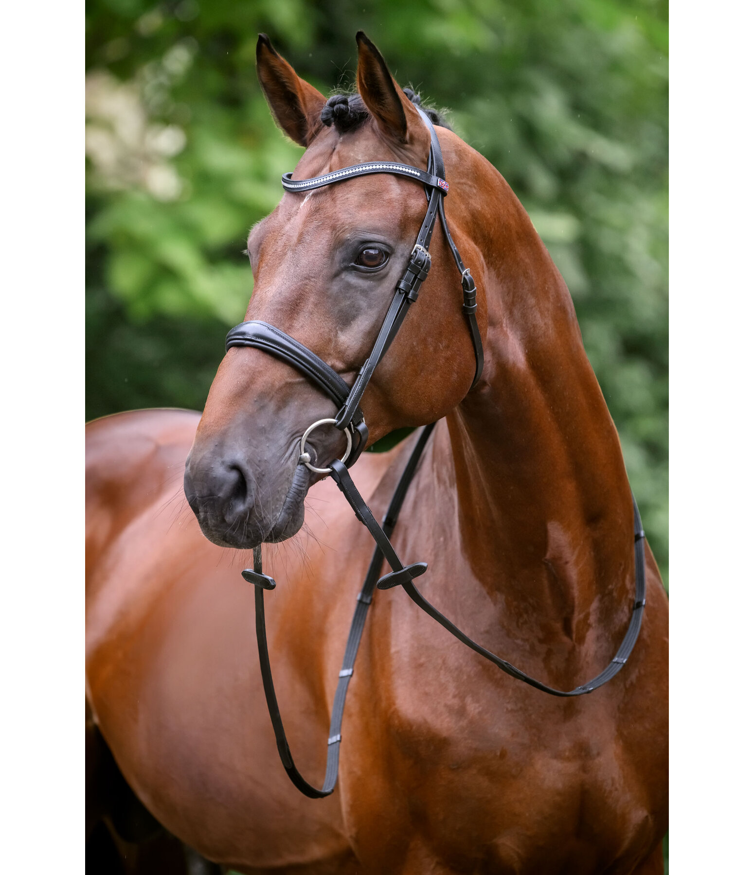 Bridle Mirissa with Detachable Flash Strap