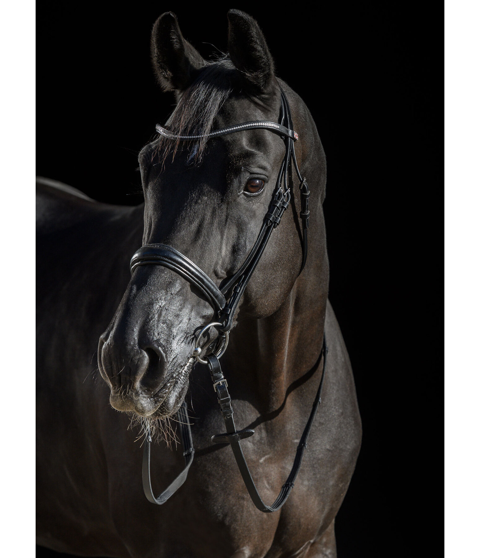 Bridle Mirissa with Detachable Flash Strap