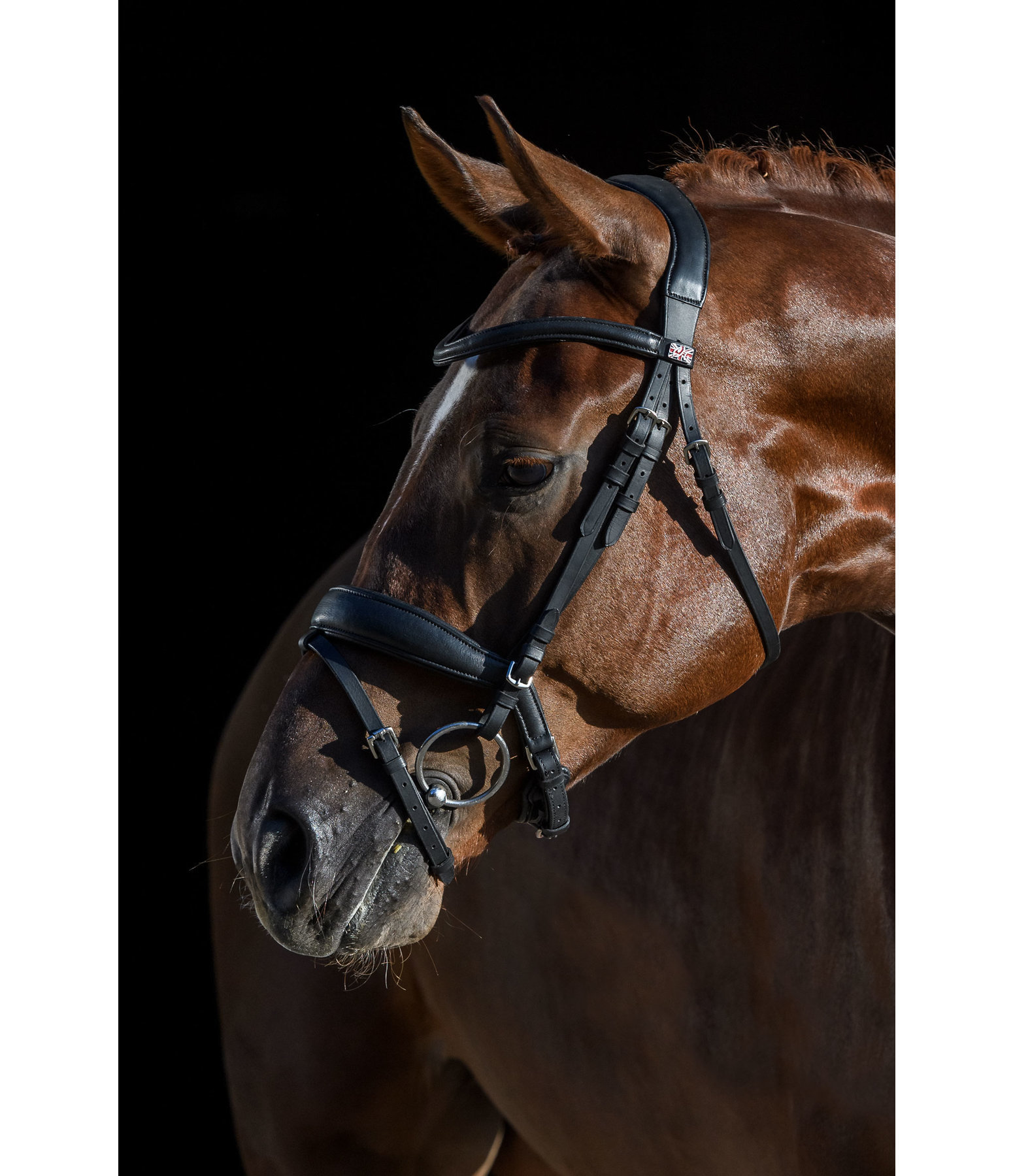 Flash Bridle Soft Comfort PRO