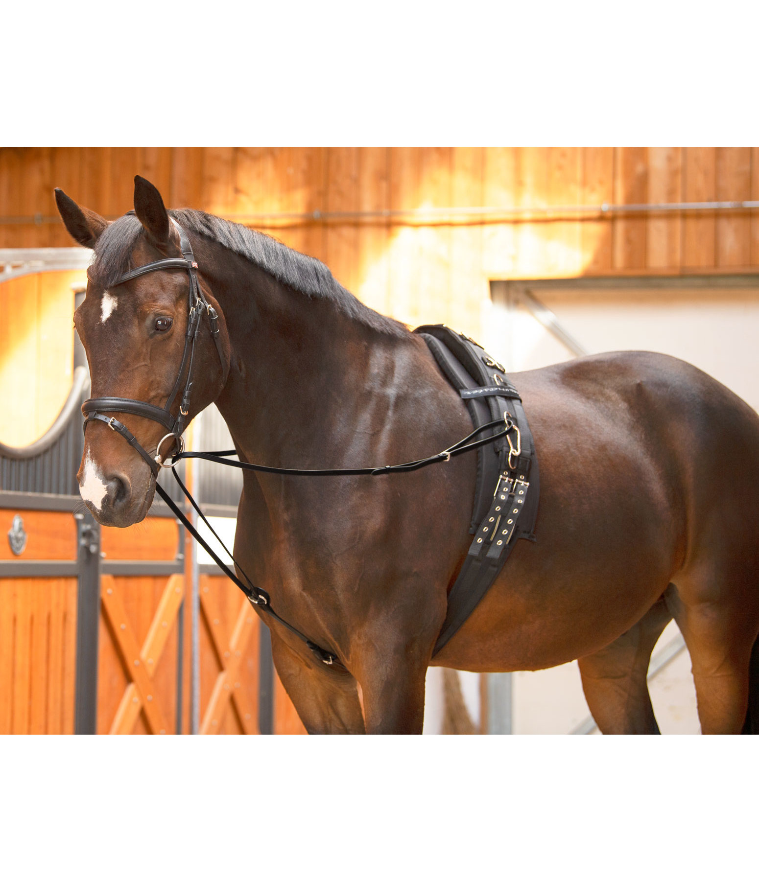 Side reins deals