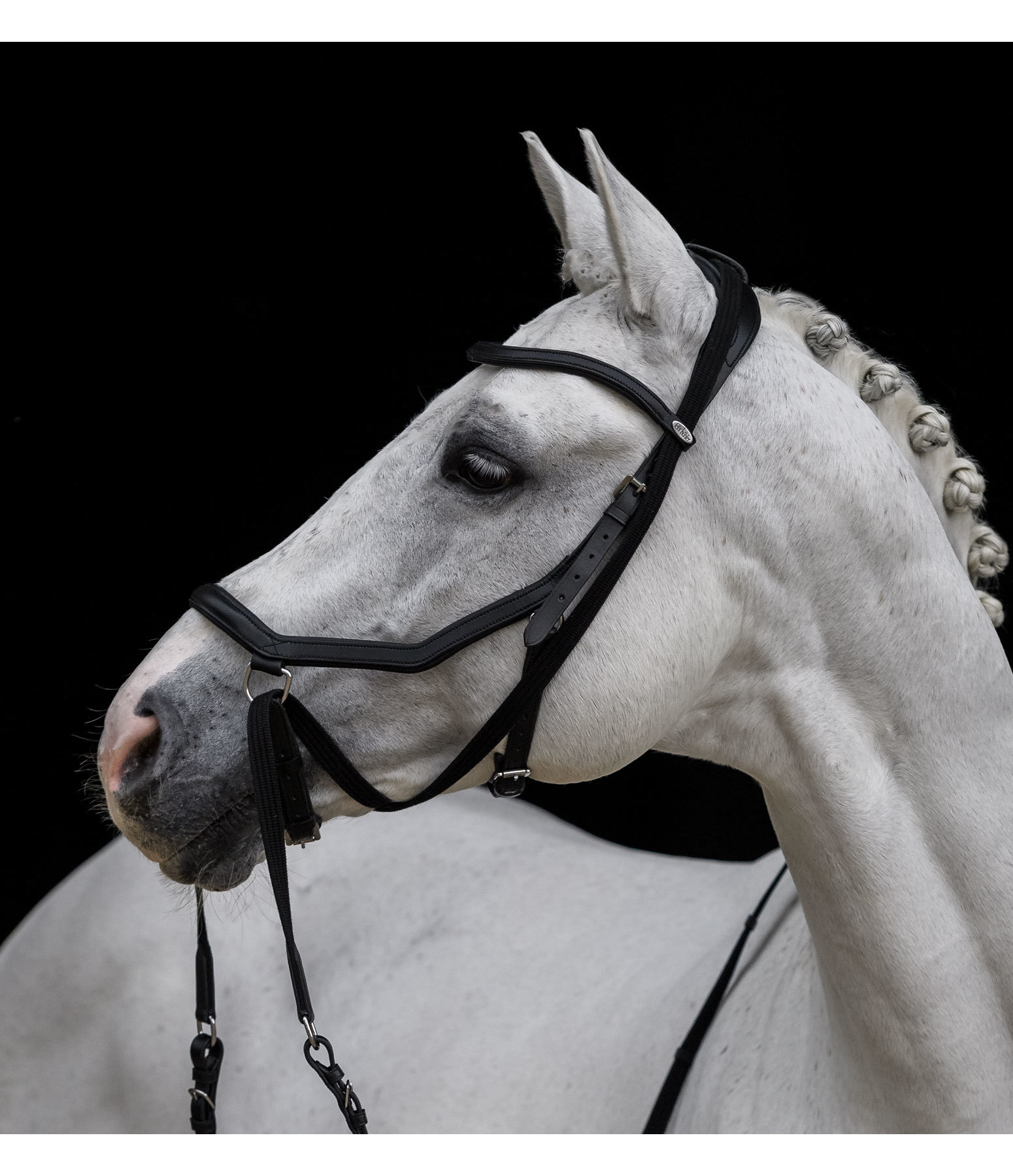 Bridle Anatomical 3WayUse Bitless Kramer Equestrian