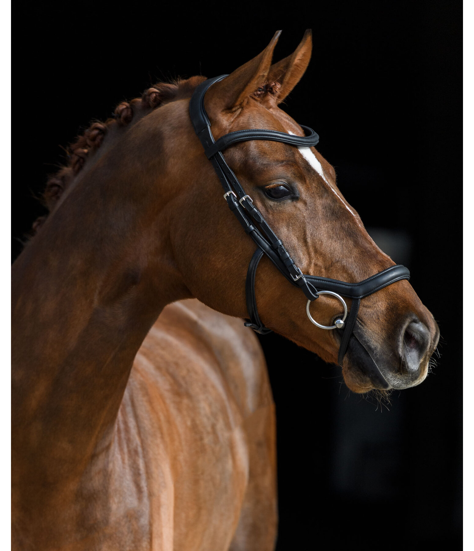 Bridle Anatomical 3WayUse Bitless Kramer Equestrian