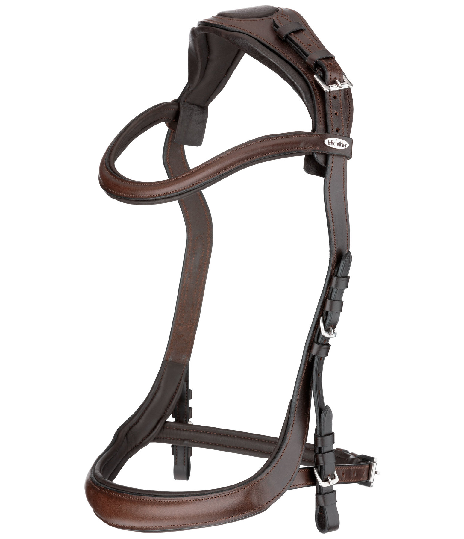 Bridle Anatomical Vision Space