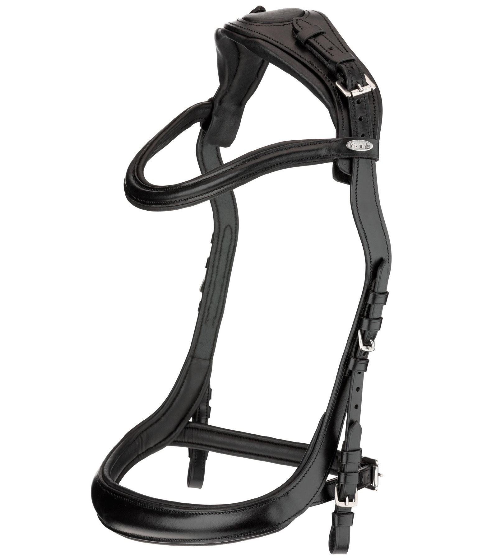 Bridle Anatomical Vision Space